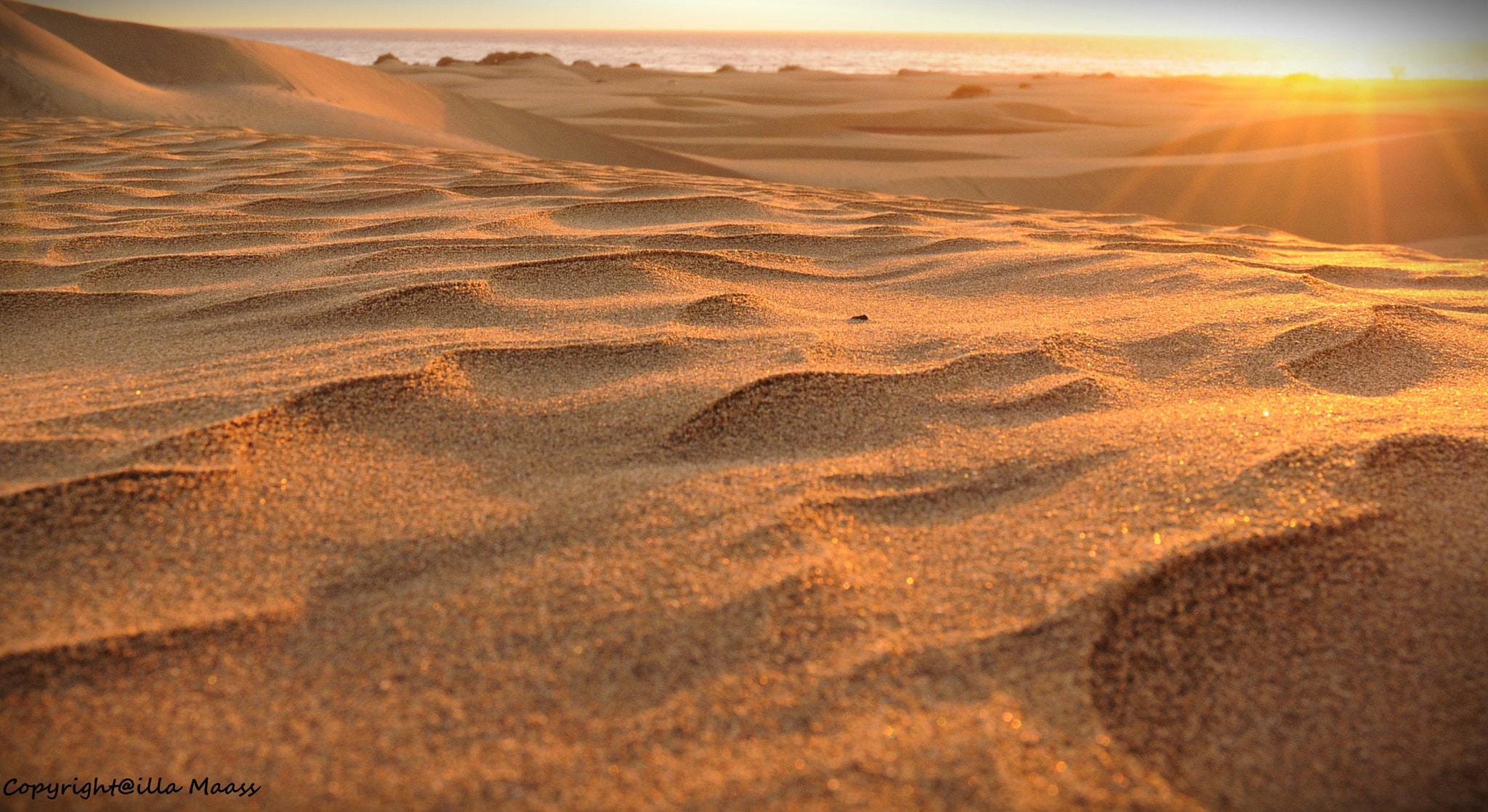 Nikon D300 sample photo. Maspalomas photography