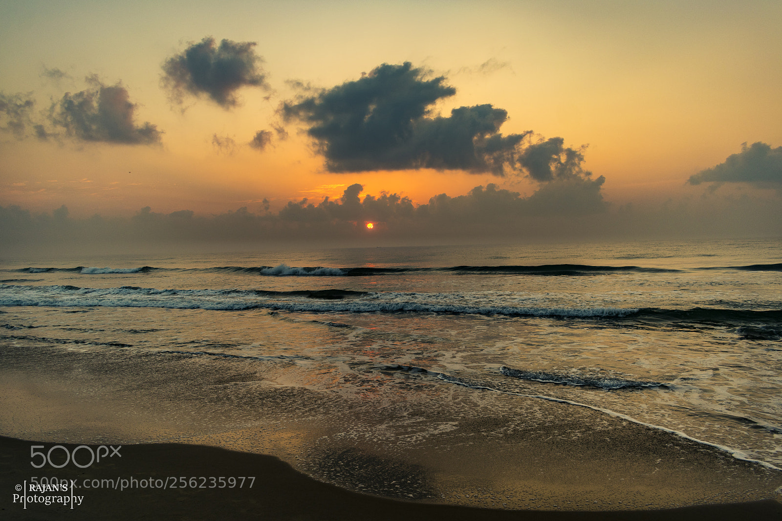 Nikon D3400 sample photo. The morning express photography
