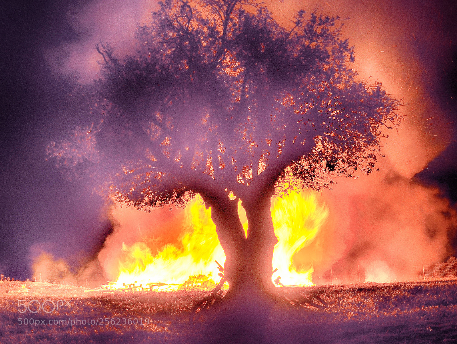 Nikon D3300 sample photo. Holiday fire behind a photography