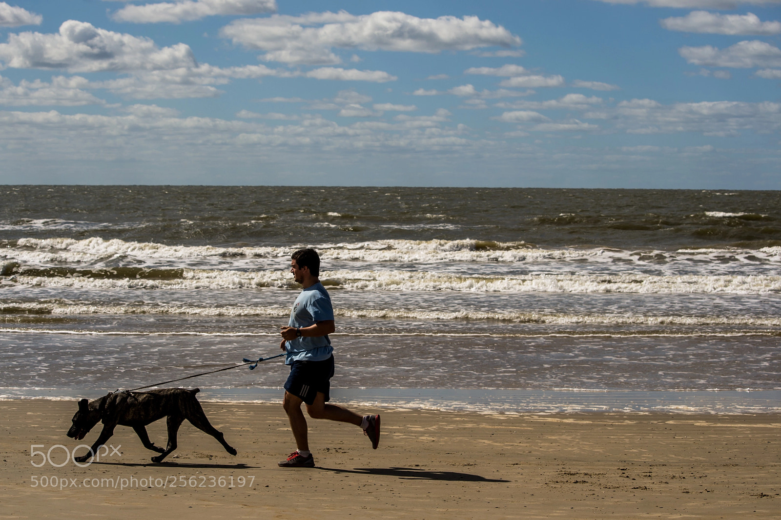 Nikon D3100 sample photo. Training partner photography