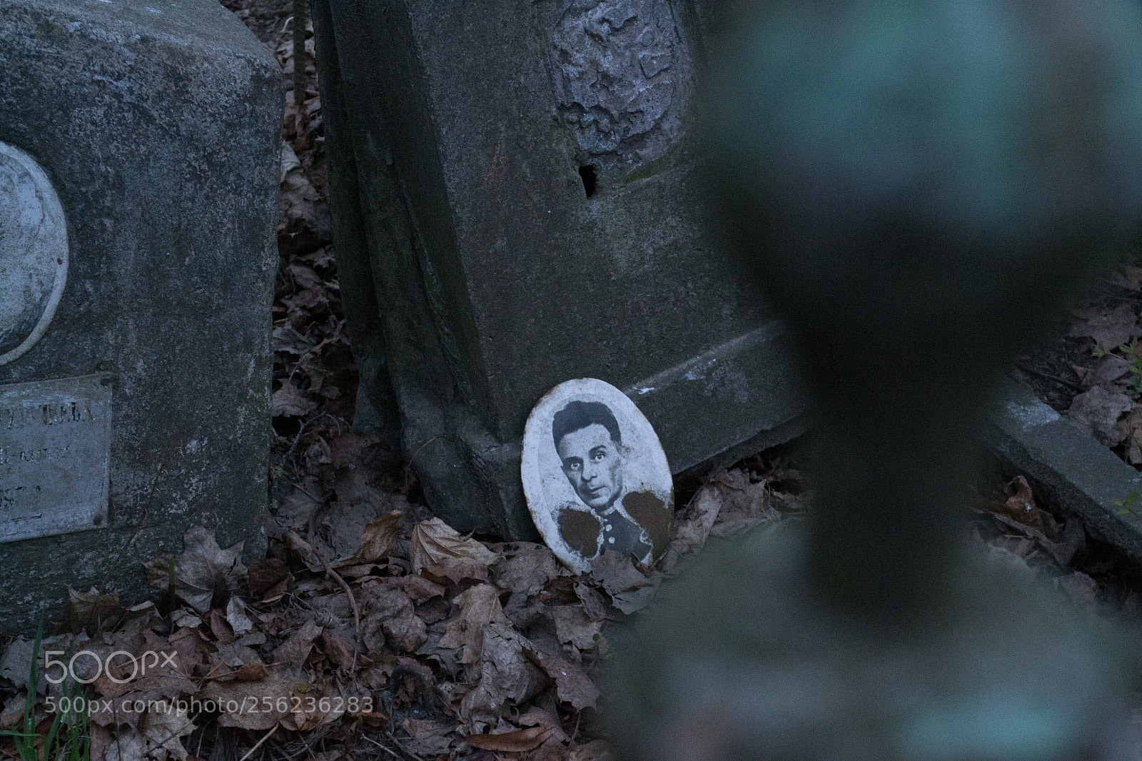 Nikon D3100 sample photo. Man in black on photography