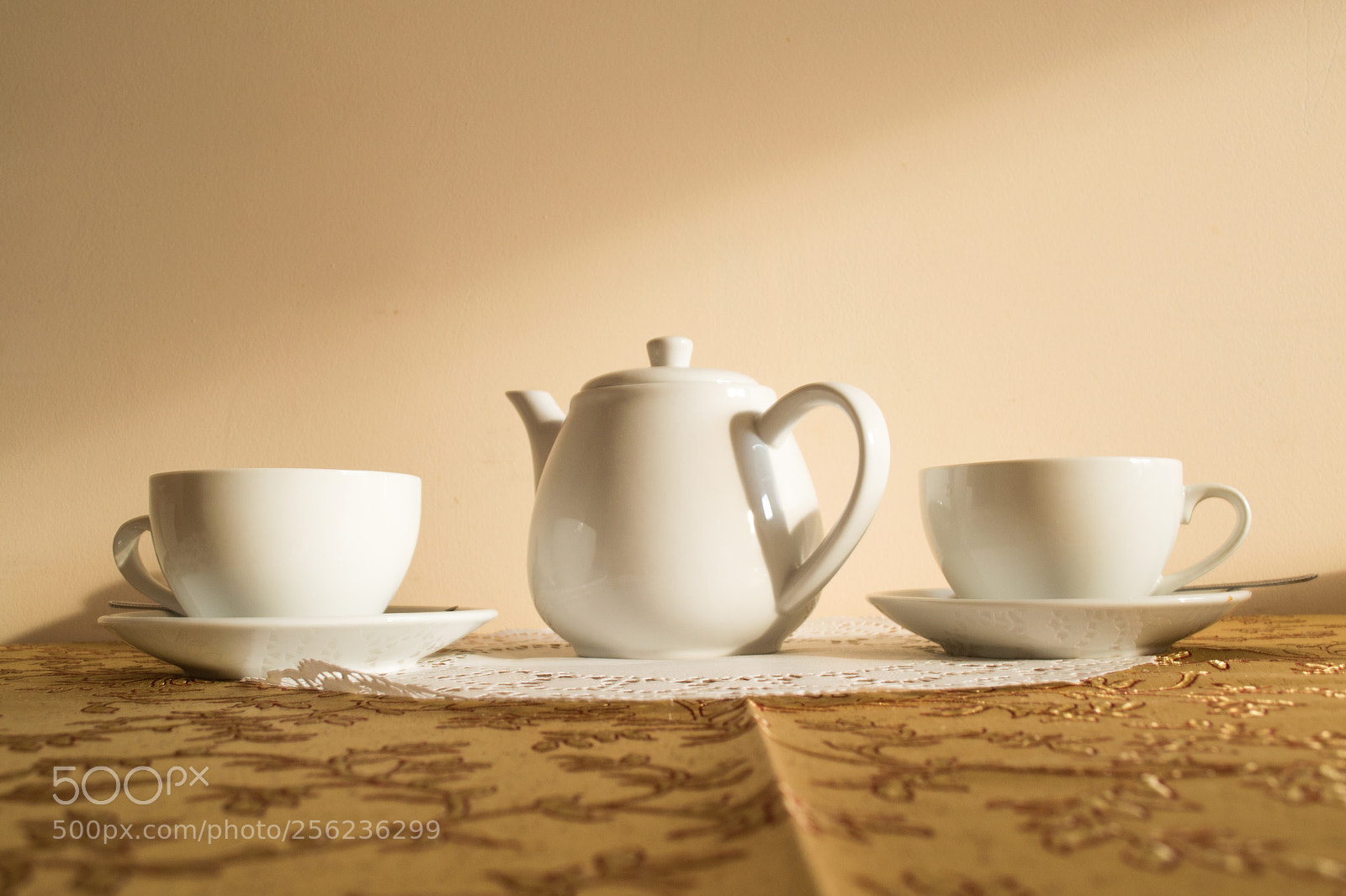 Nikon D3100 sample photo. Porcelian photography