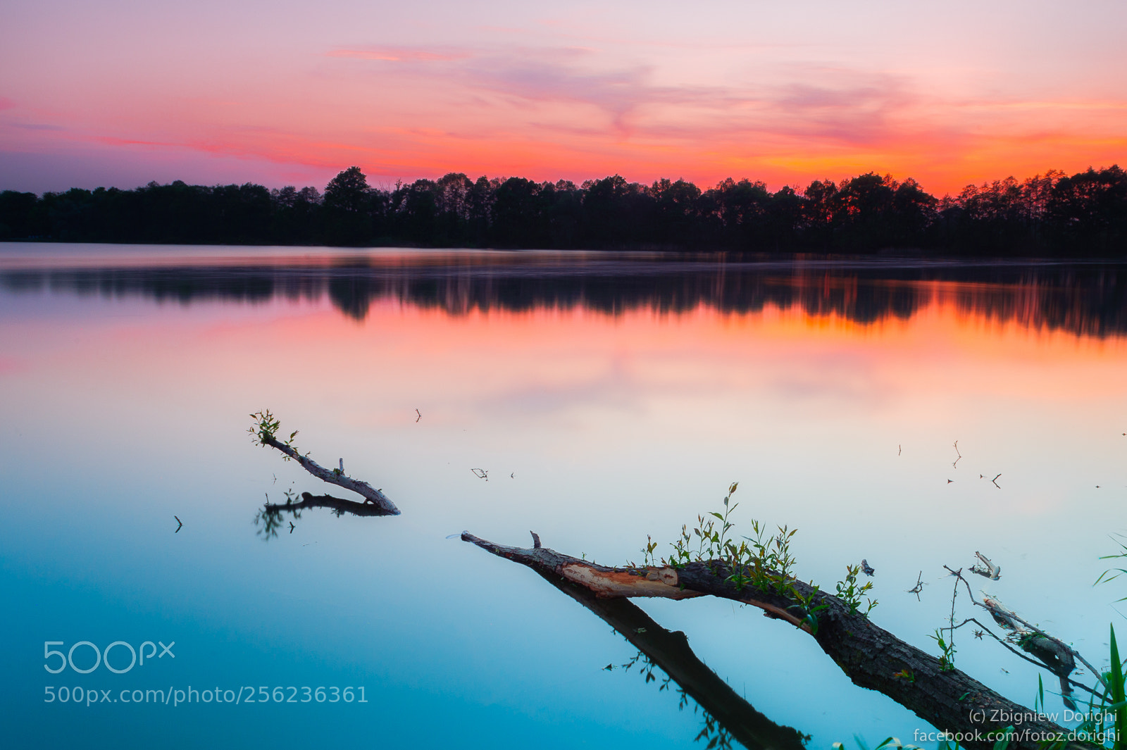 Nikon D700 sample photo. Sunset at pond photography