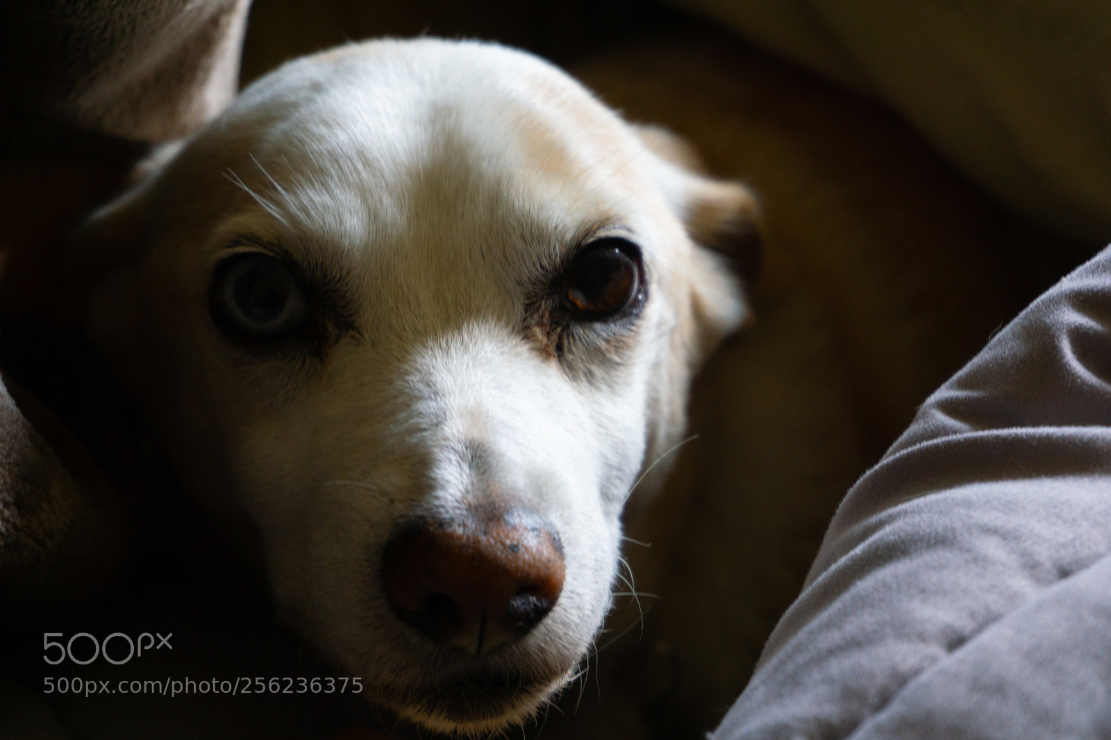Sony a6000 sample photo. Dsc photography