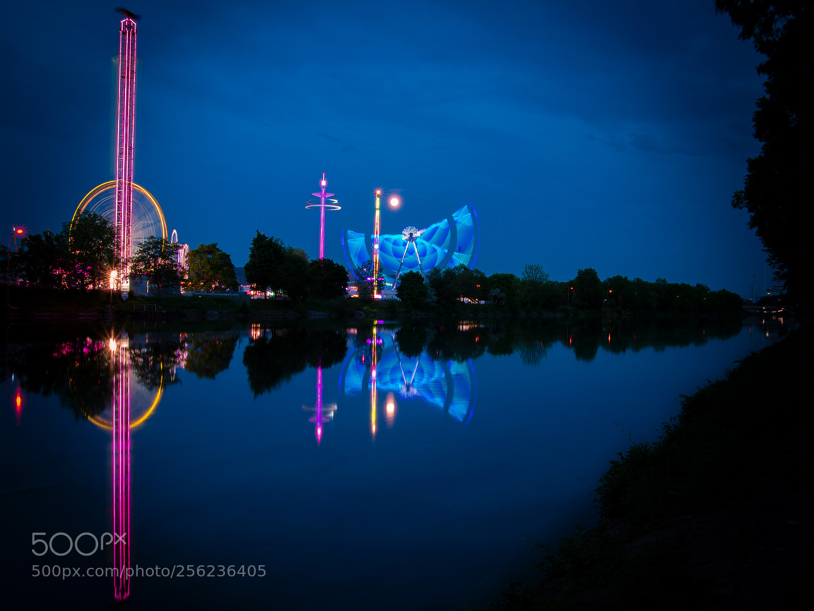 Nikon D610 sample photo. Lights on! photography