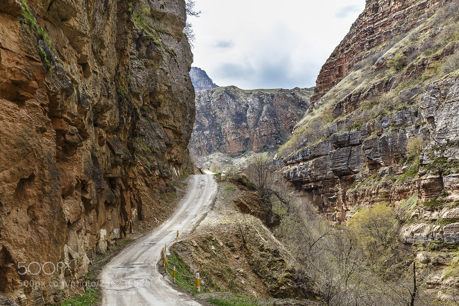 Canon EOS 6D sample photo. The road through the photography