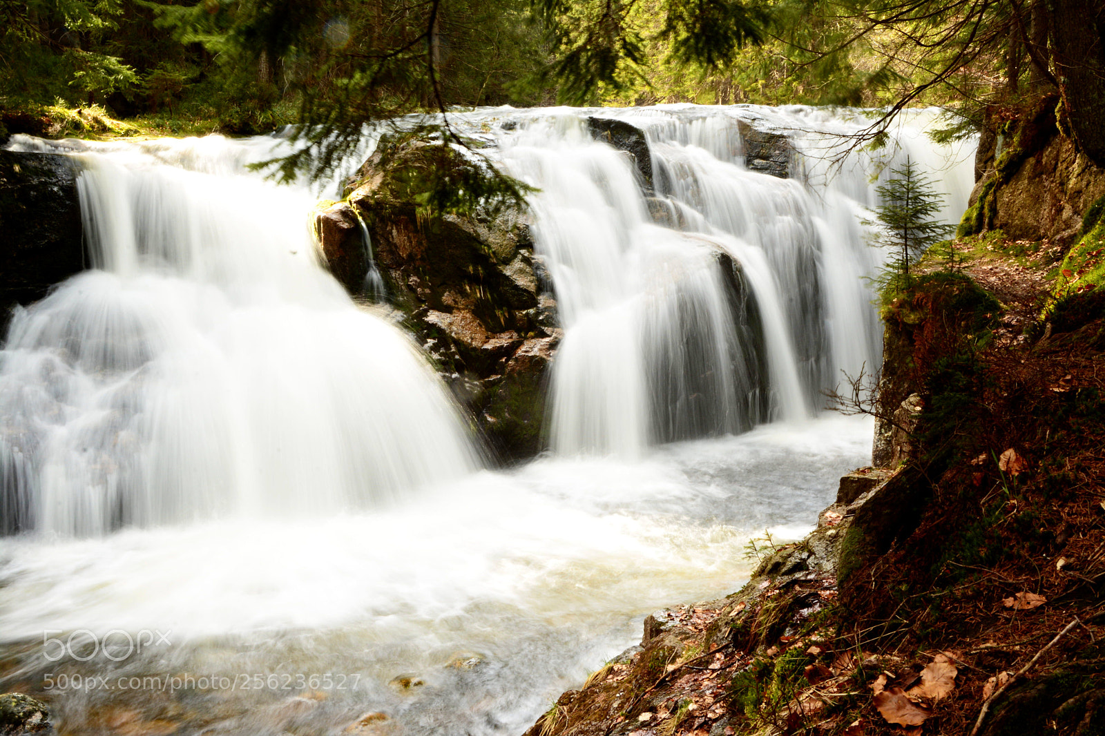 Nikon D7100 sample photo. Waterfoll photography