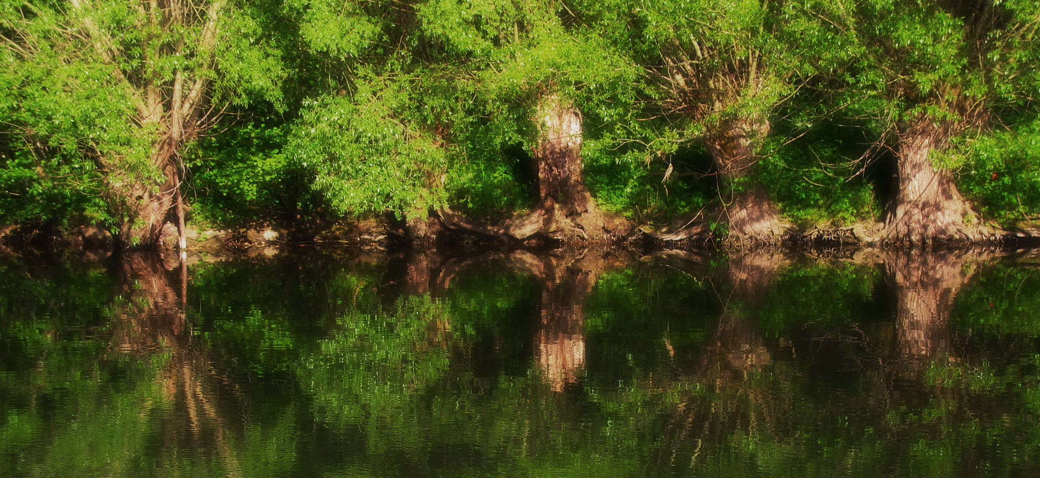 Canon EOS 1200D (EOS Rebel T5 / EOS Kiss X70 / EOS Hi) + Sigma 18-250mm F3.5-6.3 DC OS HSM sample photo. River enz, close to rosswag. germany photography