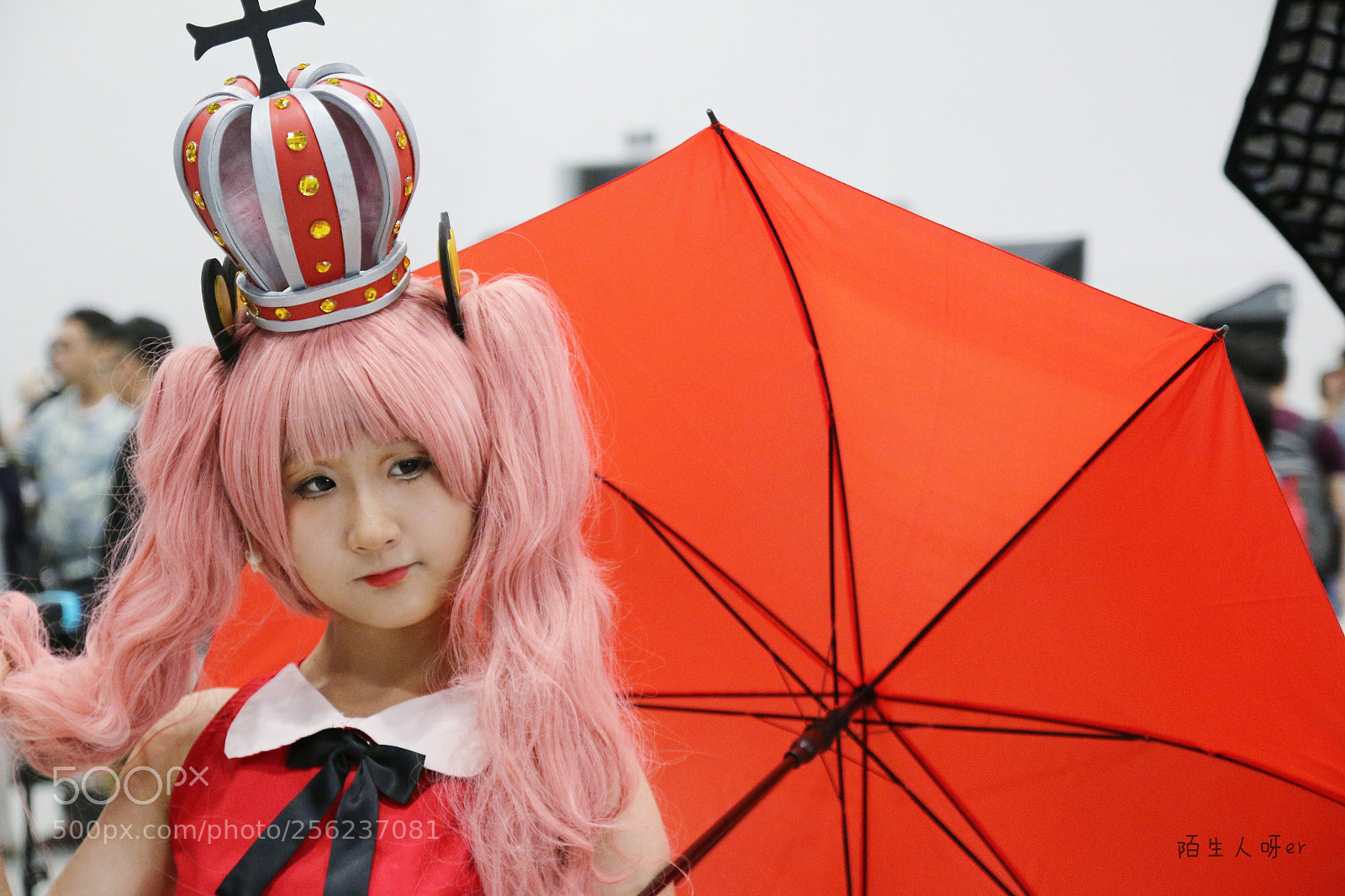Canon EOS 70D sample photo. Untitled photography