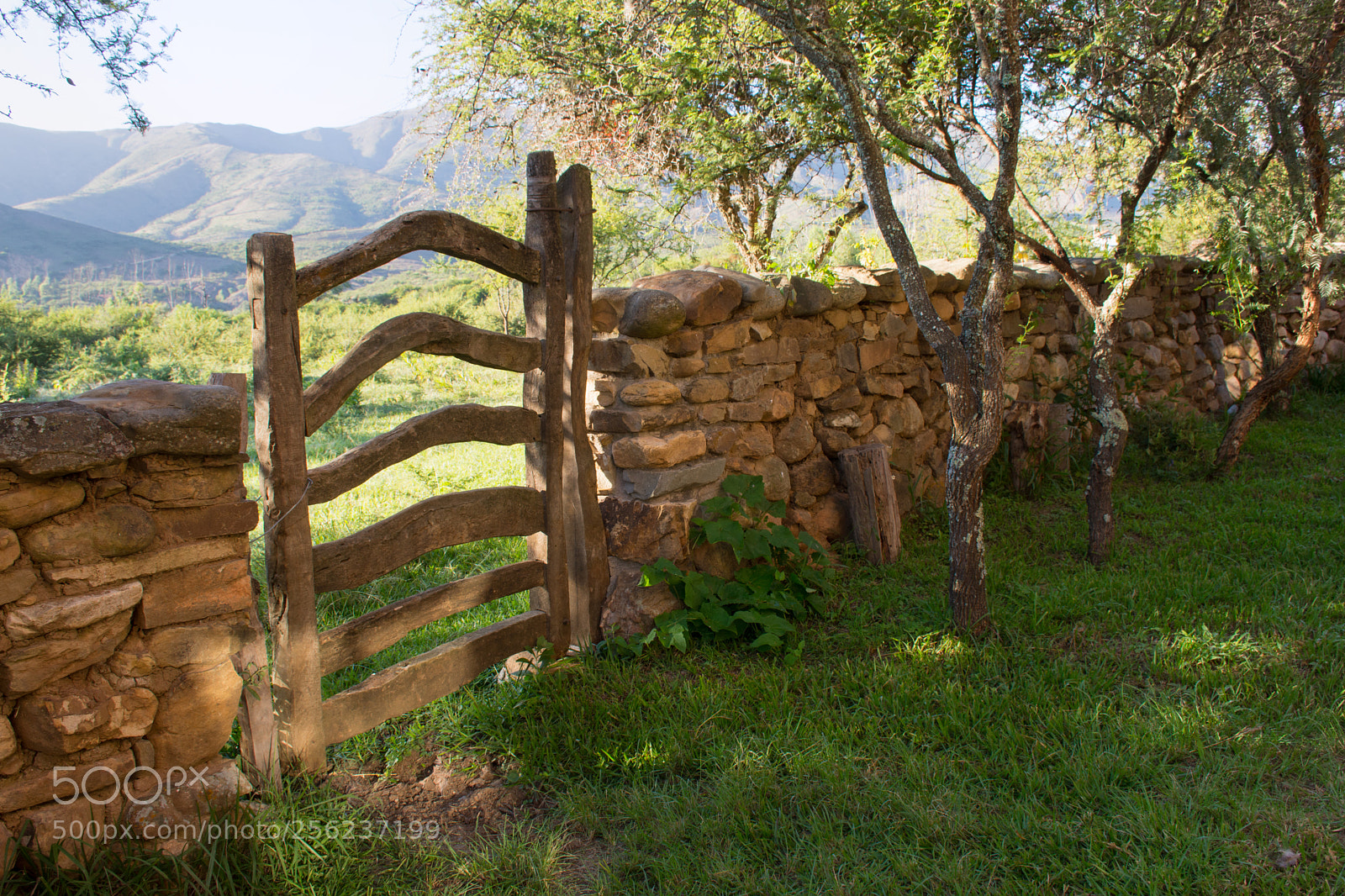 Nikon D7200 sample photo. {20} puerta rural photography