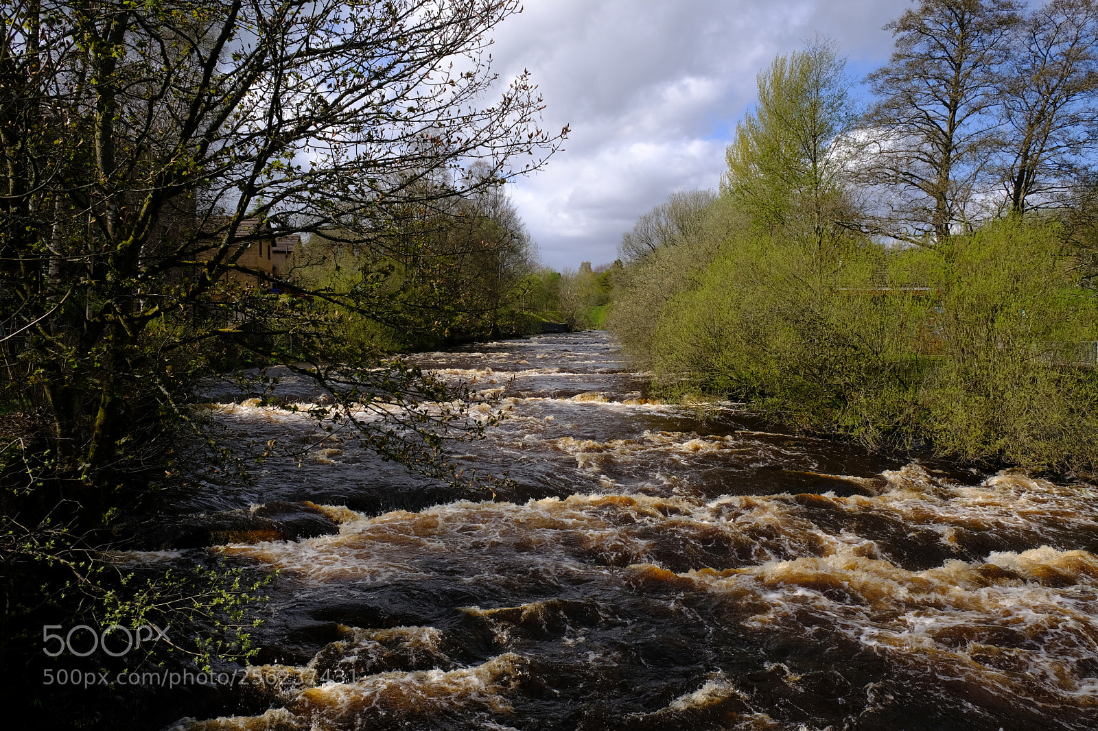 Fujifilm X-T20 sample photo. The river allan photography
