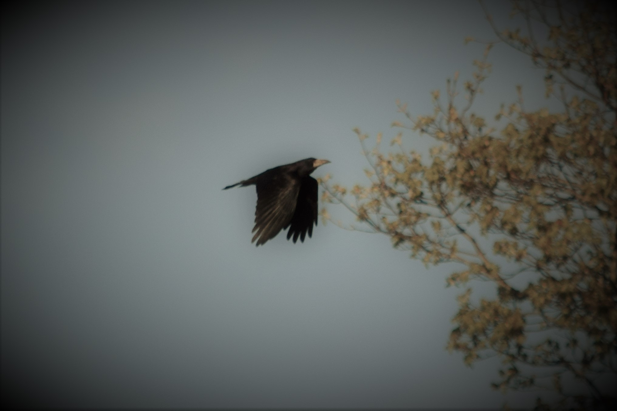 Nikon D5300 sample photo. () photography
