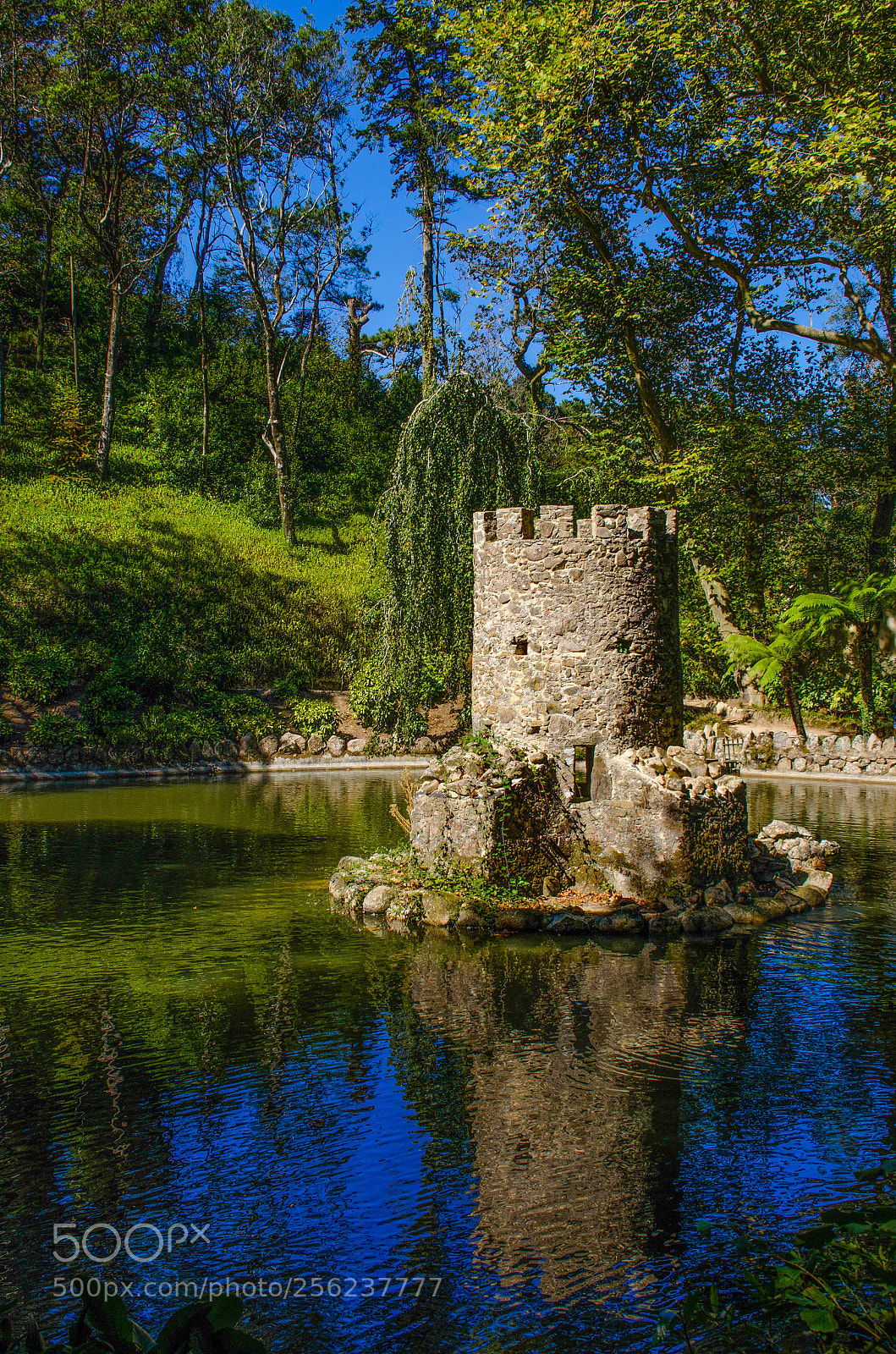 Nikon D7000 sample photo. Tower in the pond photography