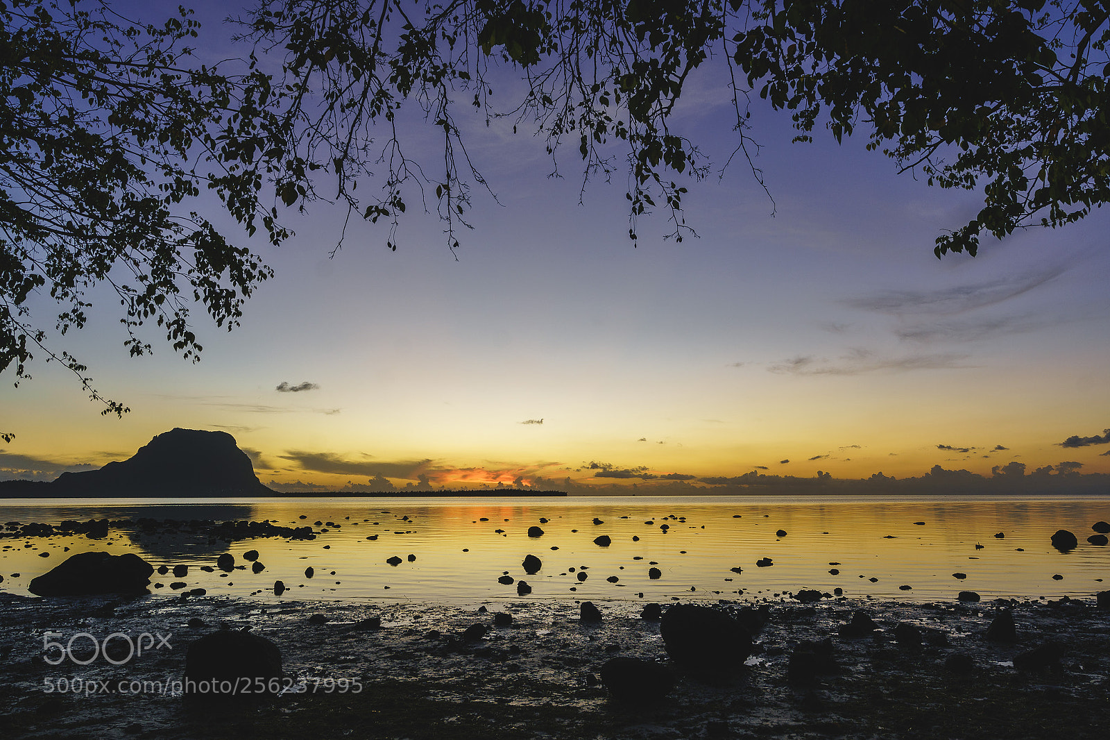 Sony a7R II sample photo. Dsc photography