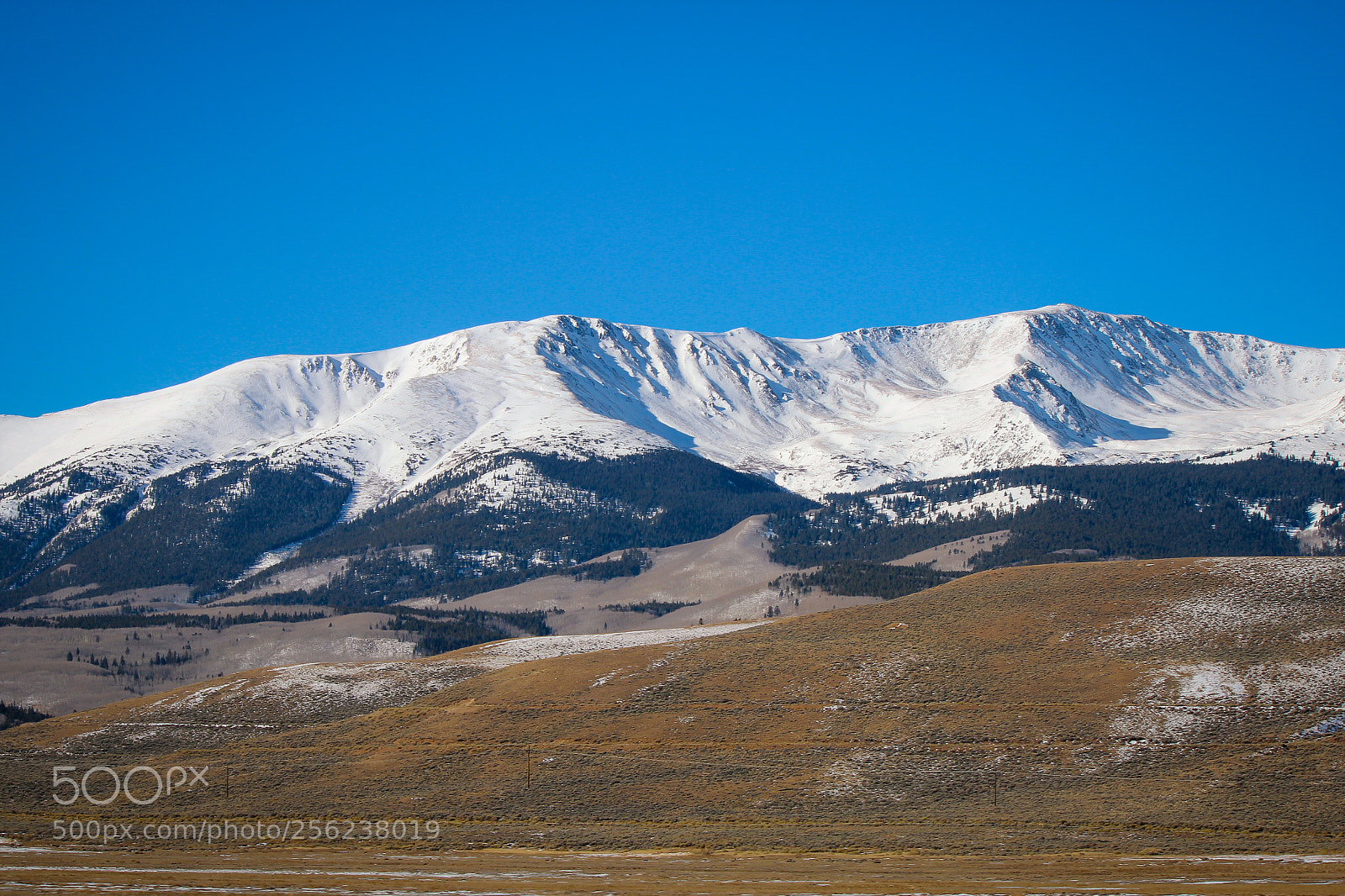 Canon EOS 600D (Rebel EOS T3i / EOS Kiss X5) sample photo. Colorado photography