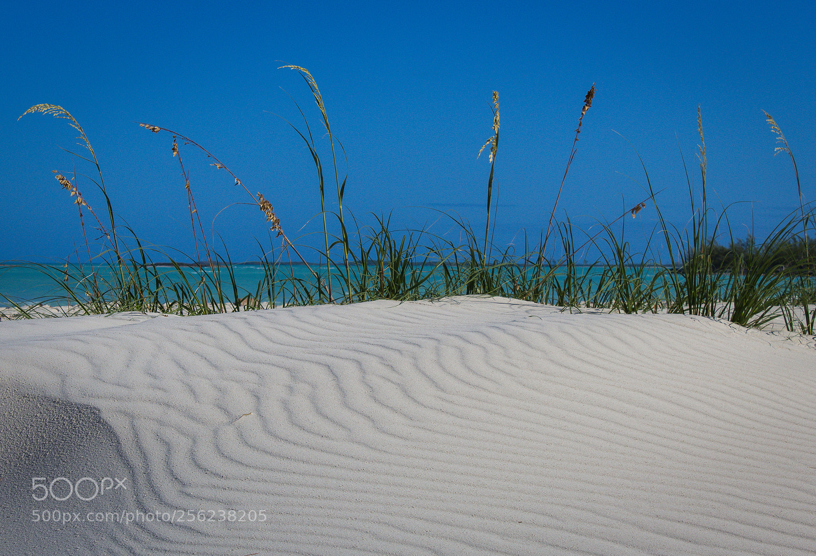 Canon EOS 600D (Rebel EOS T3i / EOS Kiss X5) sample photo. Sand swirl photography