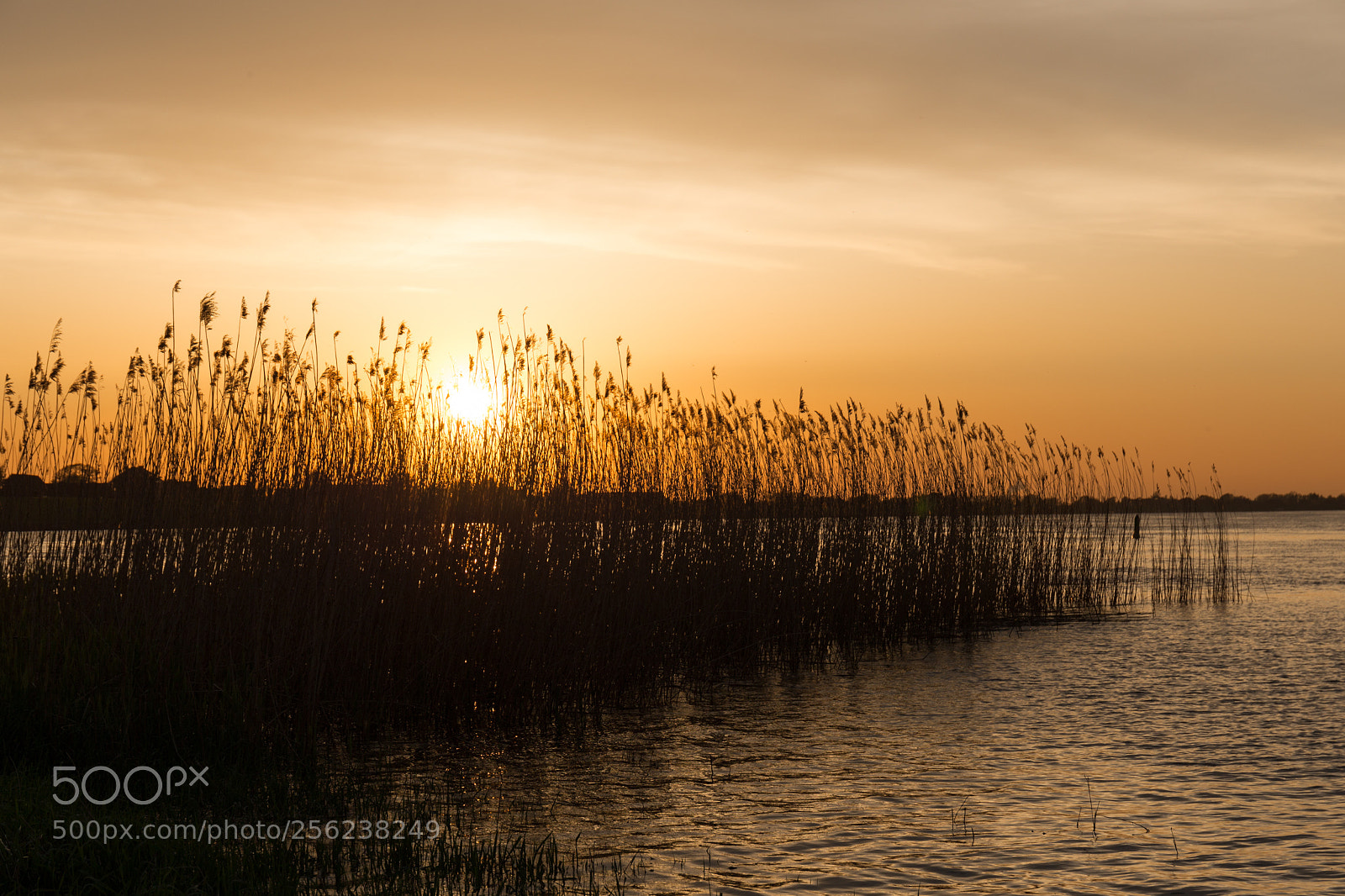 Canon EOS 6D sample photo. Sunset photography