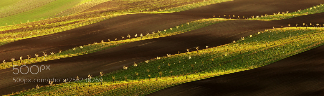 Canon EOS 6D sample photo. Moravian tuscany photography