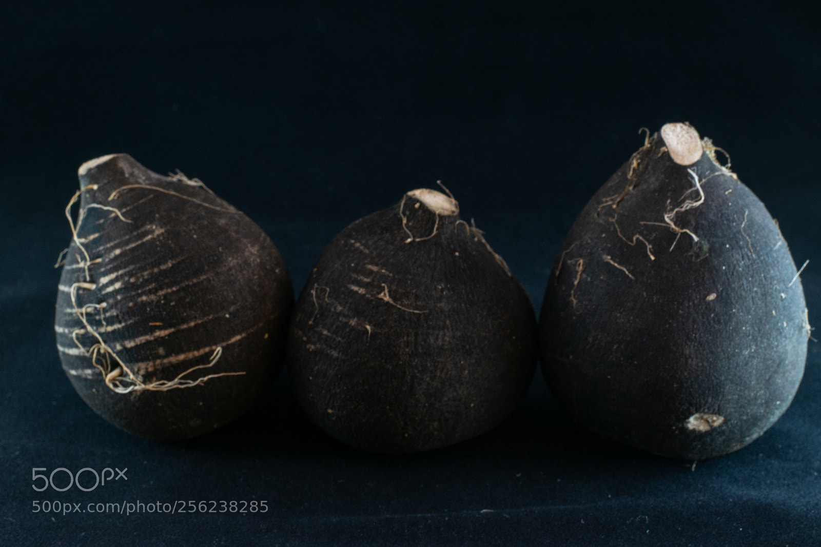 Nikon D5300 sample photo. The black radishes des photography