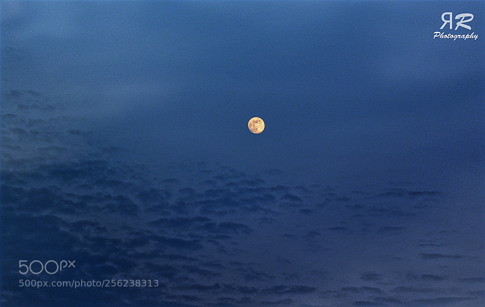 Nikon D5200 sample photo. 2018 04 30 pink moon photography
