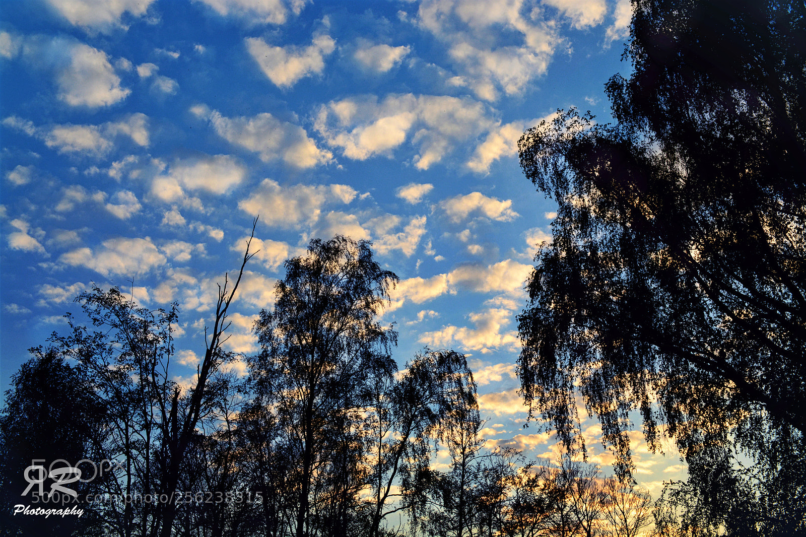 Nikon D5200 sample photo. Clouds photography