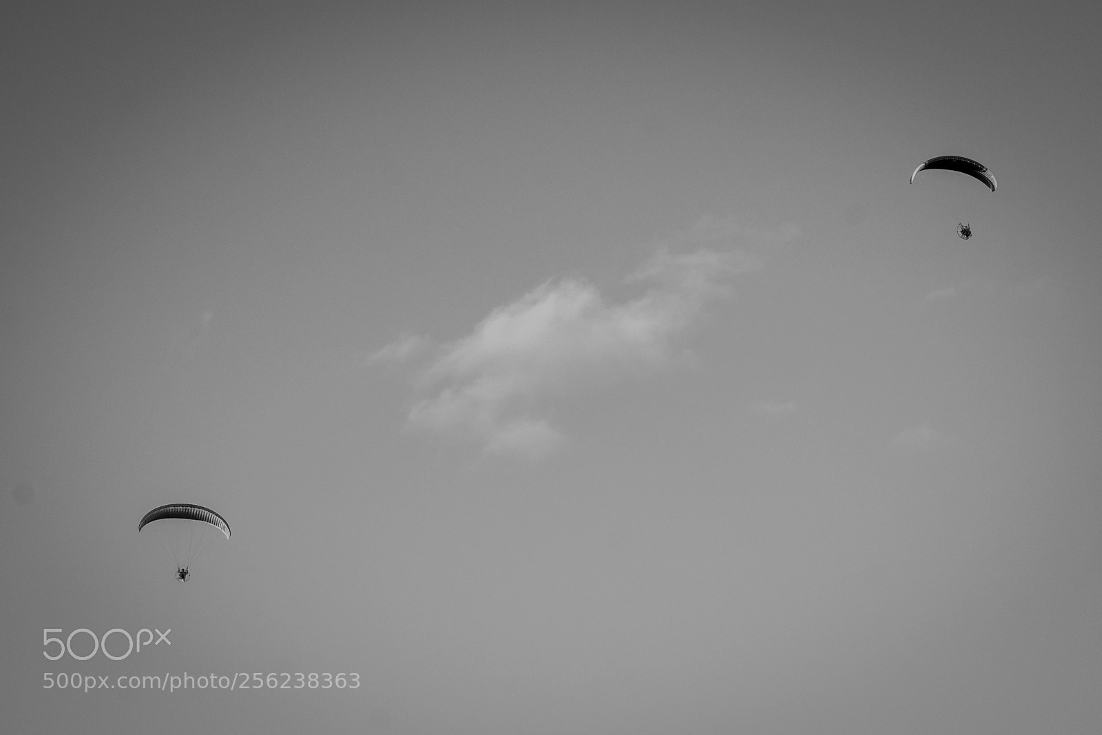 Nikon D3100 sample photo. Up there photography