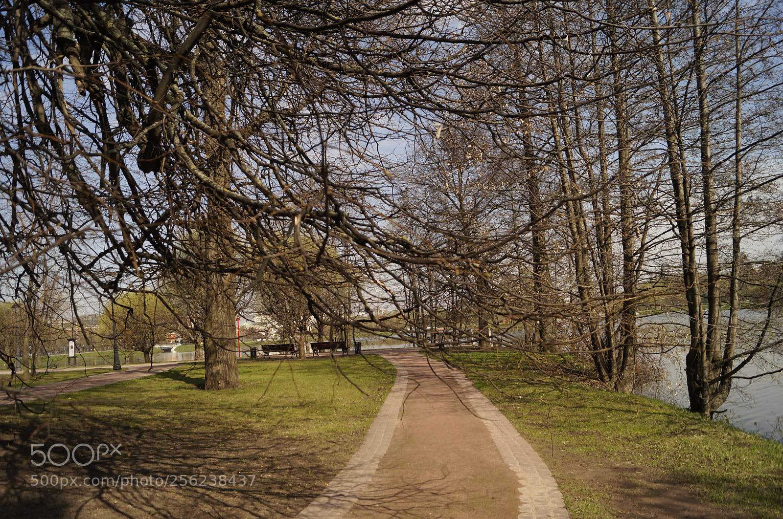 Sony SLT-A57 sample photo. Untitled photography
