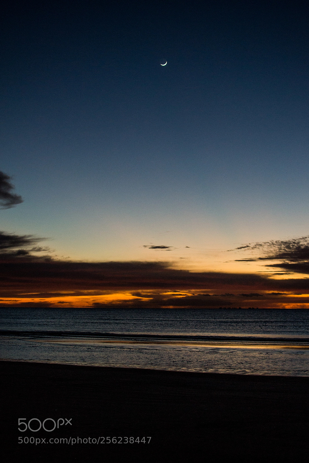 Nikon D3100 sample photo. Early in the morning photography