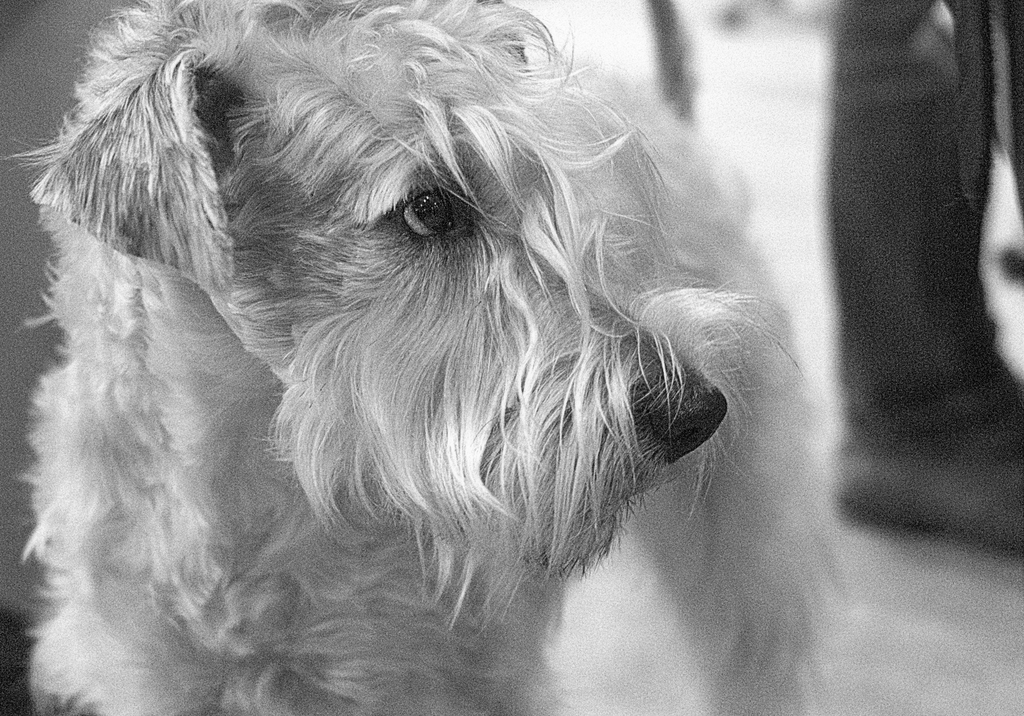 Canon EOS 600D (Rebel EOS T3i / EOS Kiss X5) + Canon EF 40mm F2.8 STM sample photo. Processed by: helicon filter; photography