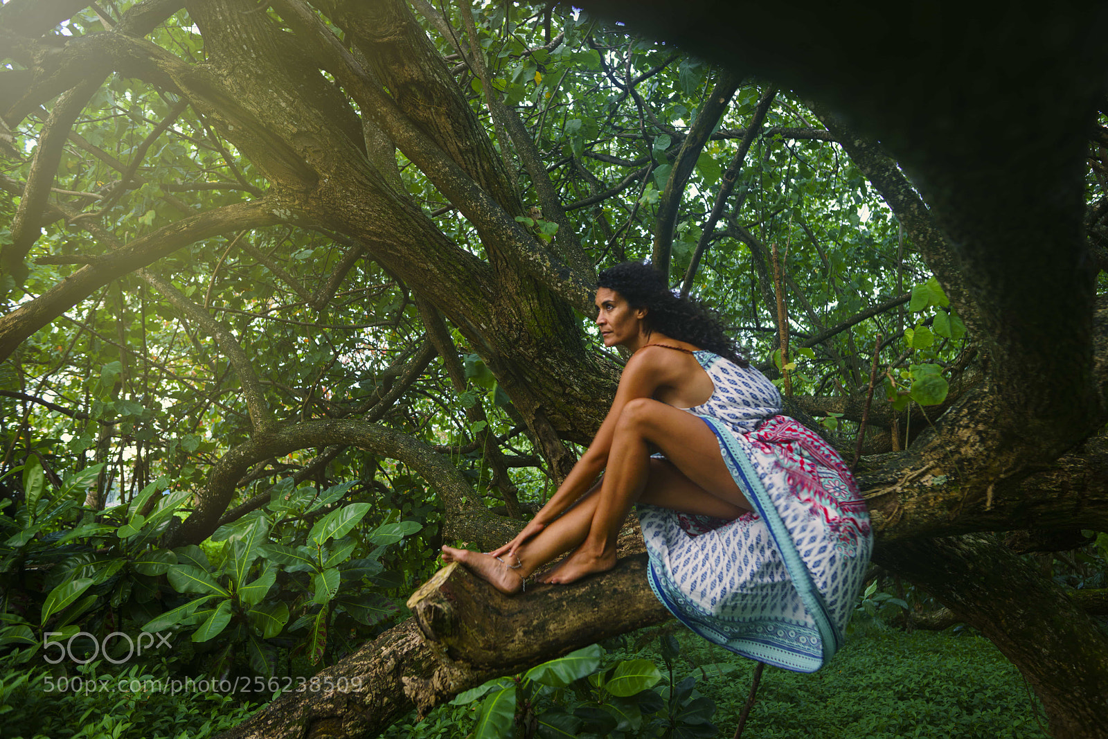Sony a7R II sample photo. Last light in jungle photography