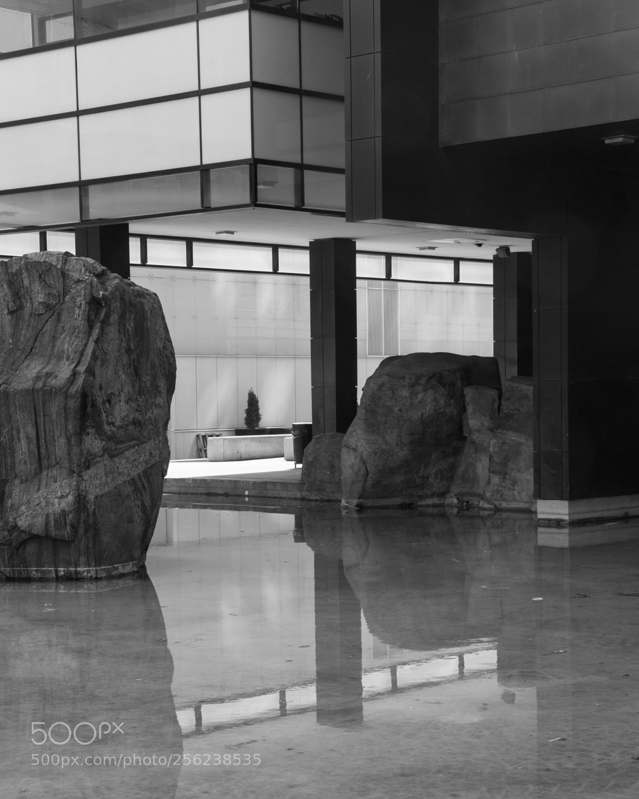 Canon EOS 70D sample photo. Between a rock and... photography