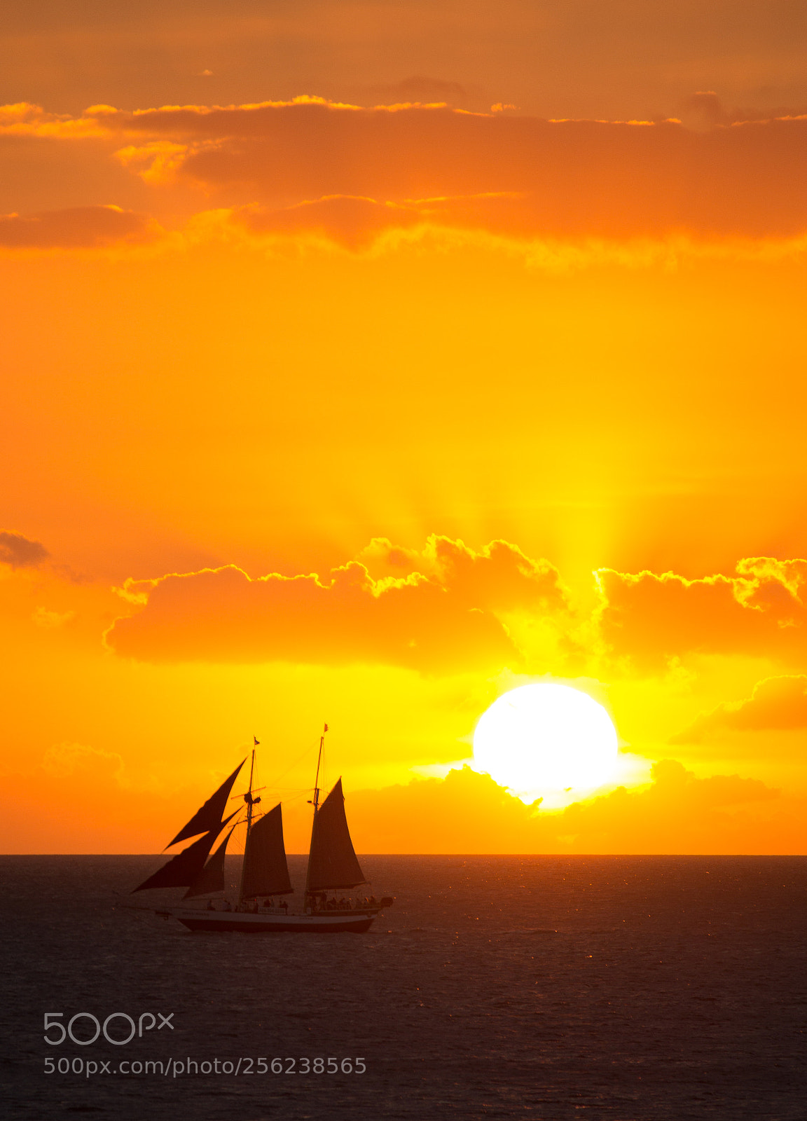 Canon EOS 600D (Rebel EOS T3i / EOS Kiss X5) sample photo. Sunset in the keys photography
