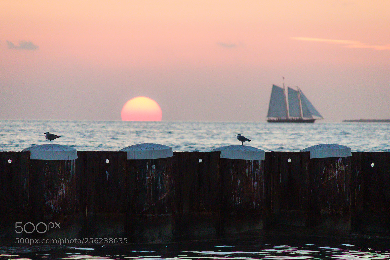 Canon EOS 600D (Rebel EOS T3i / EOS Kiss X5) sample photo. Sunset in the keys photography