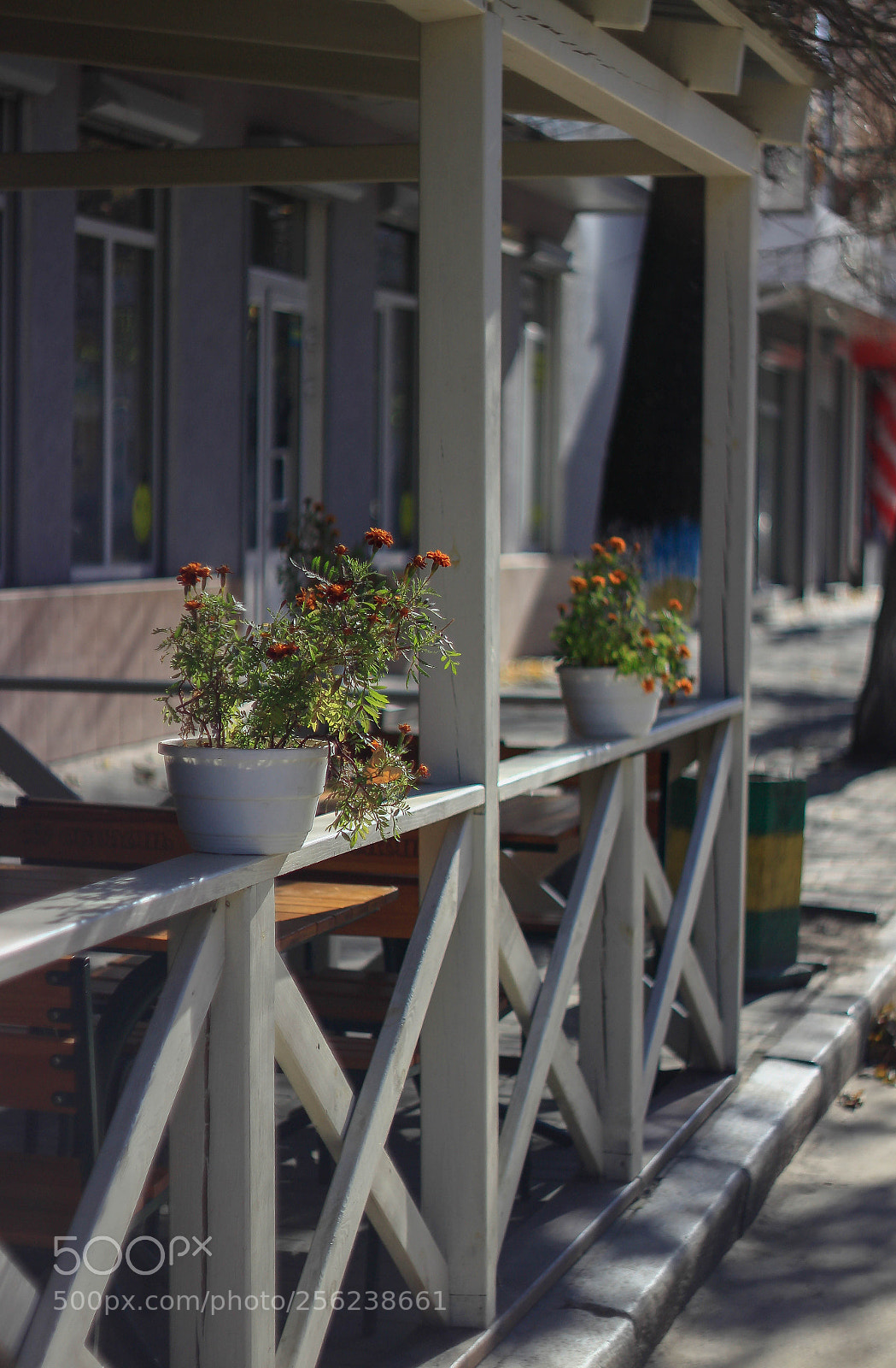 Canon EOS M sample photo. Cafe photography