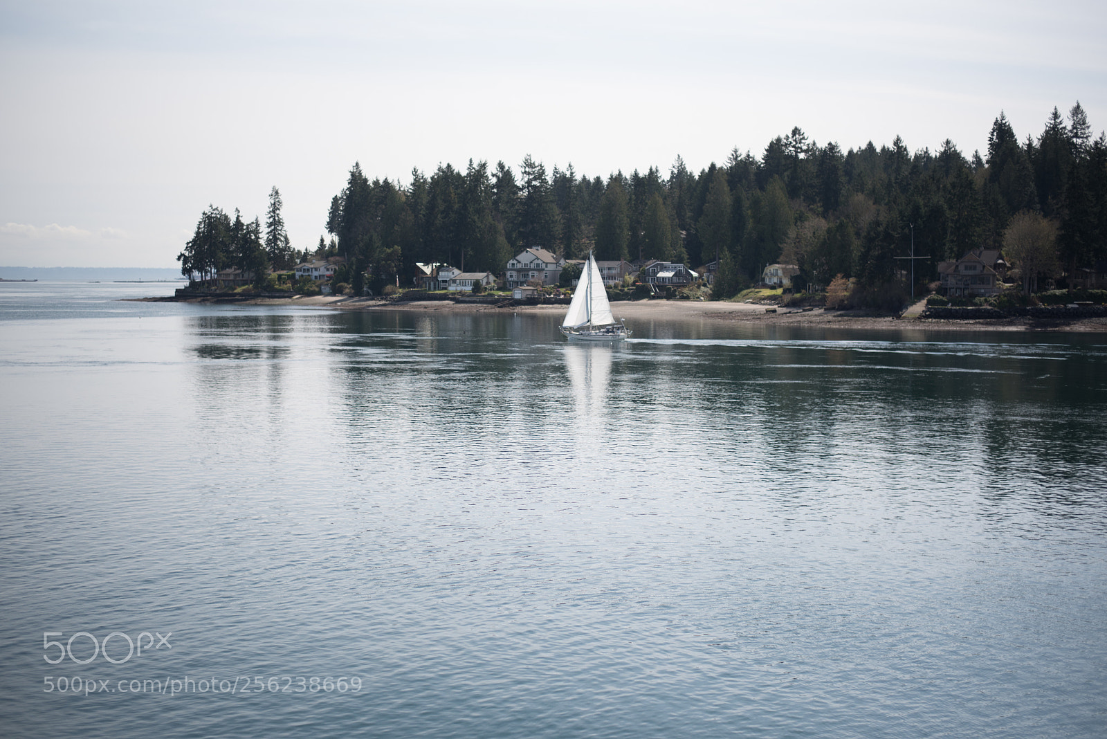 Nikon D750 sample photo. Puget sound photography
