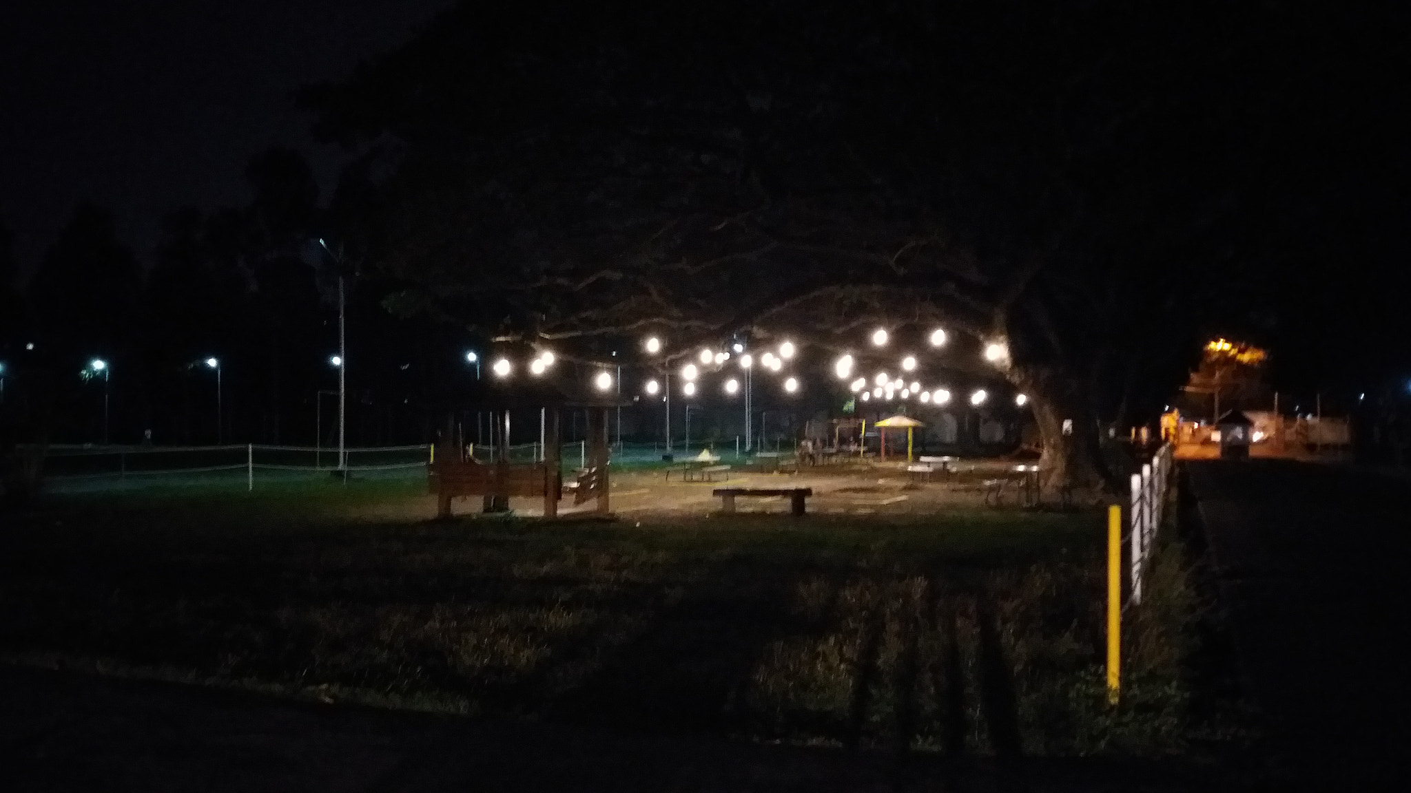 Samsung Galaxy A9 Pro sample photo. Park at night photography