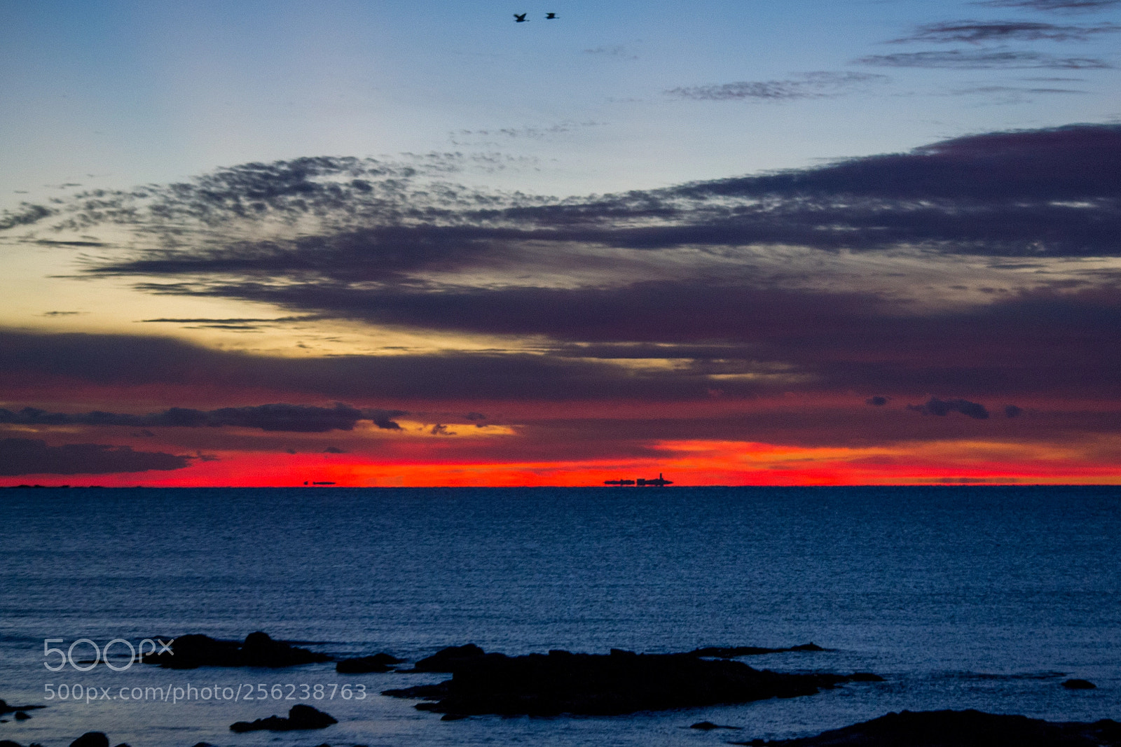 Nikon D3100 sample photo. Rising sun photography