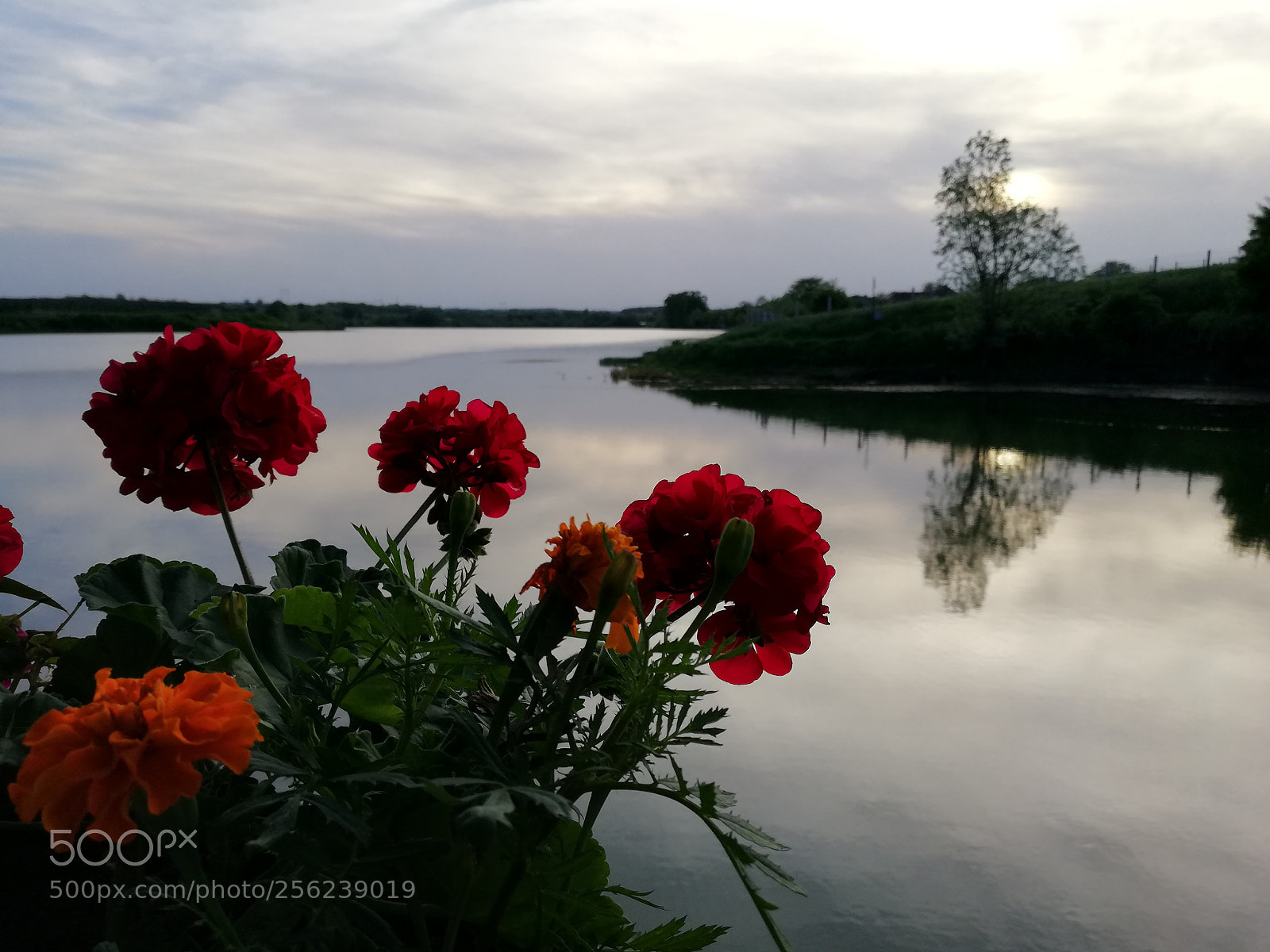 HUAWEI Mate 10 Lite sample photo. Mirrors photography
