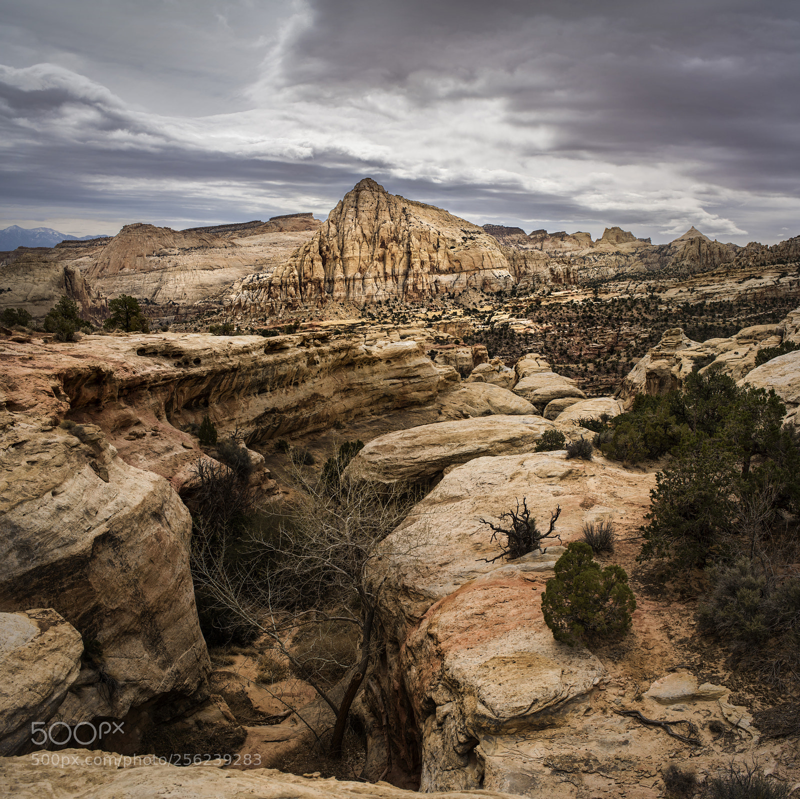 Nikon D810 sample photo. Capitol reef photography