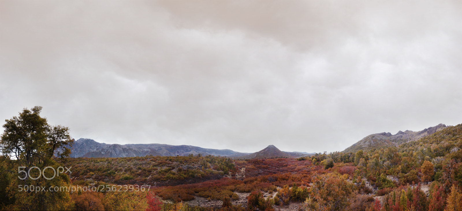 DJI FC220 sample photo. Punto 6 photography