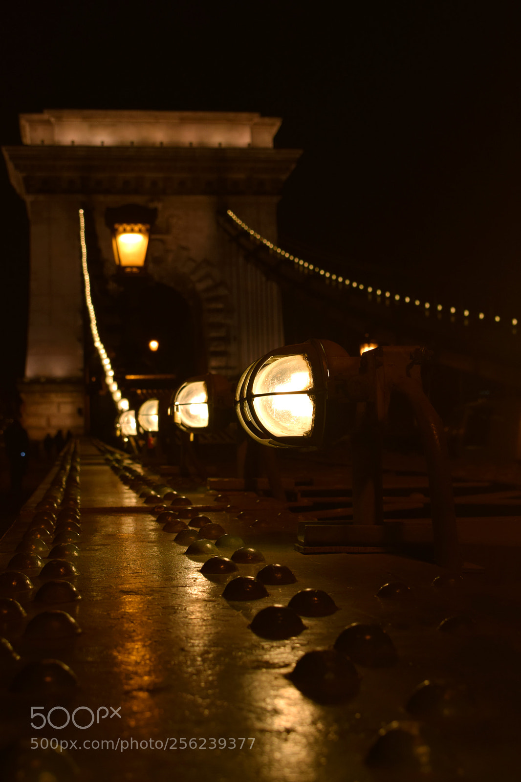 Nikon D5300 sample photo. Lights on chain bridge photography