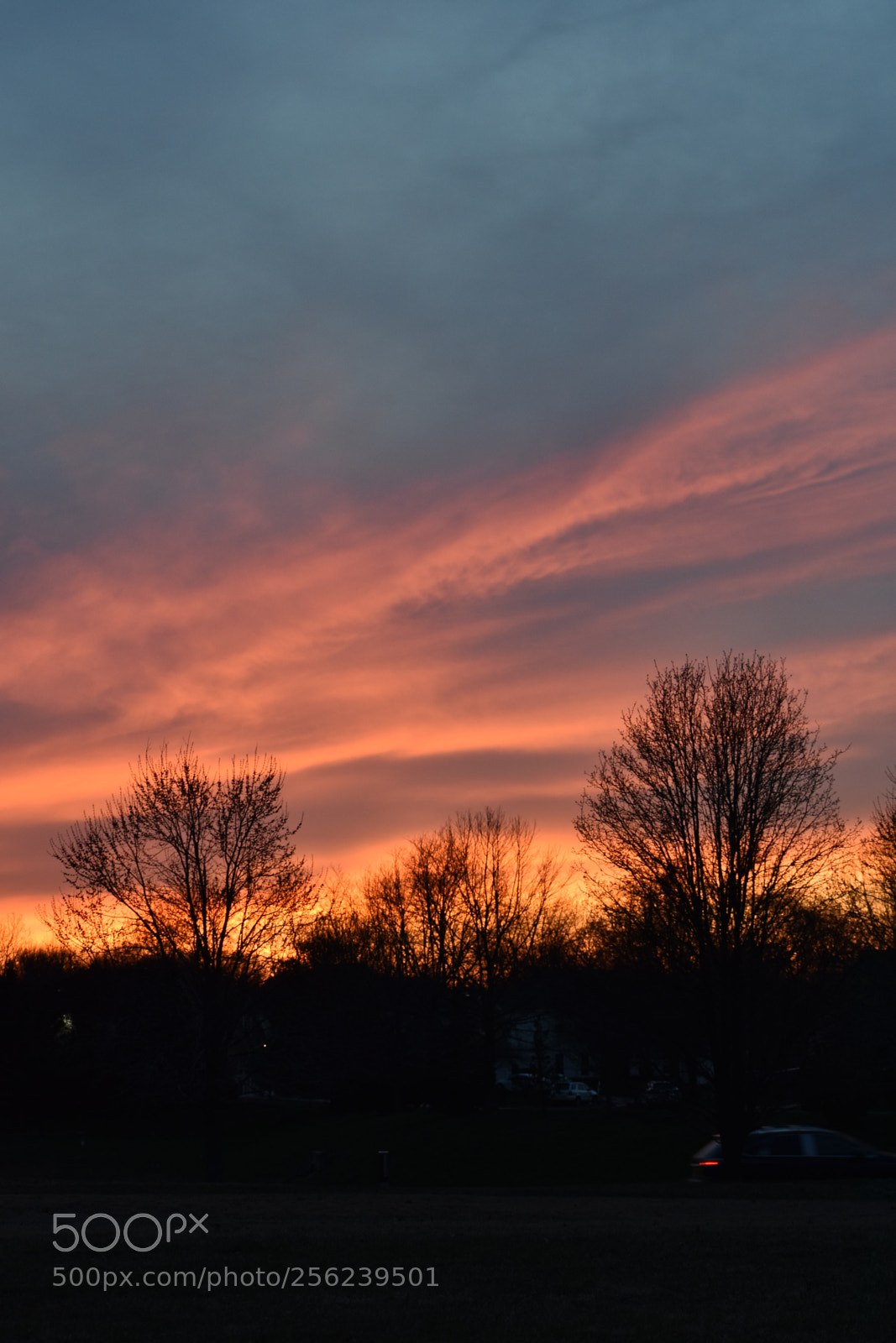 Nikon D3400 sample photo. Suburban sunset photography