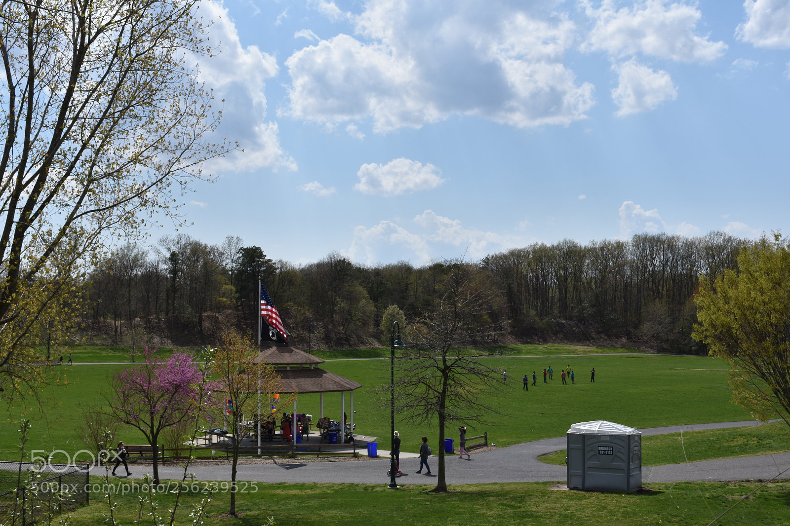 Nikon D3400 sample photo. Day at the park photography