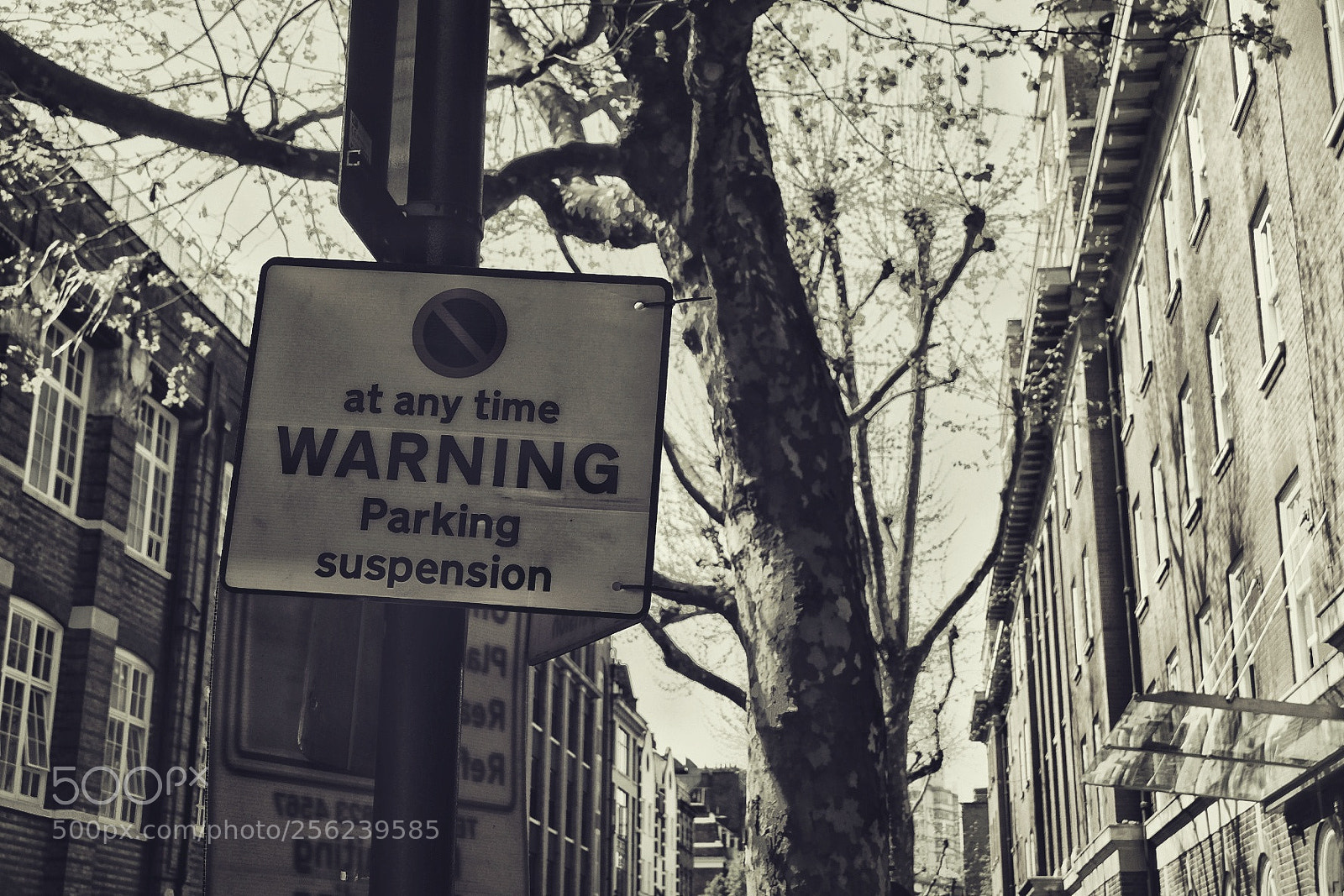 Fujifilm X-T10 sample photo. Untitled photography