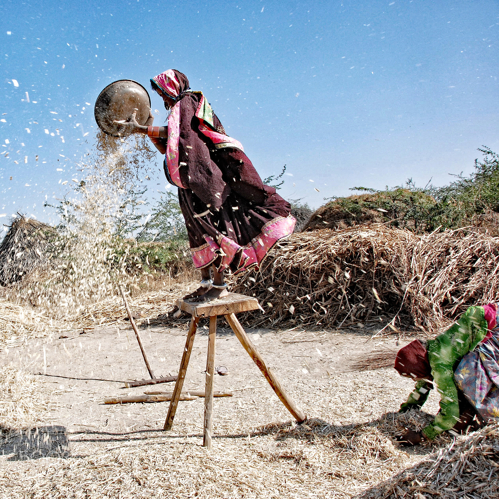 Nikon D80 sample photo. Gujarat harvest photography