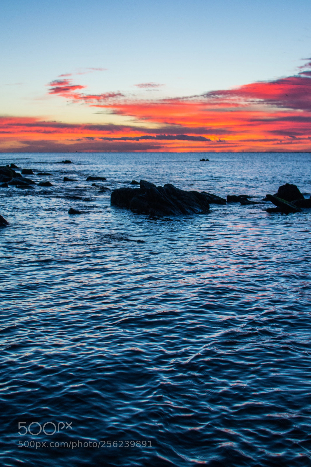 Nikon D3100 sample photo. Phonescreen wallpaper 1 photography