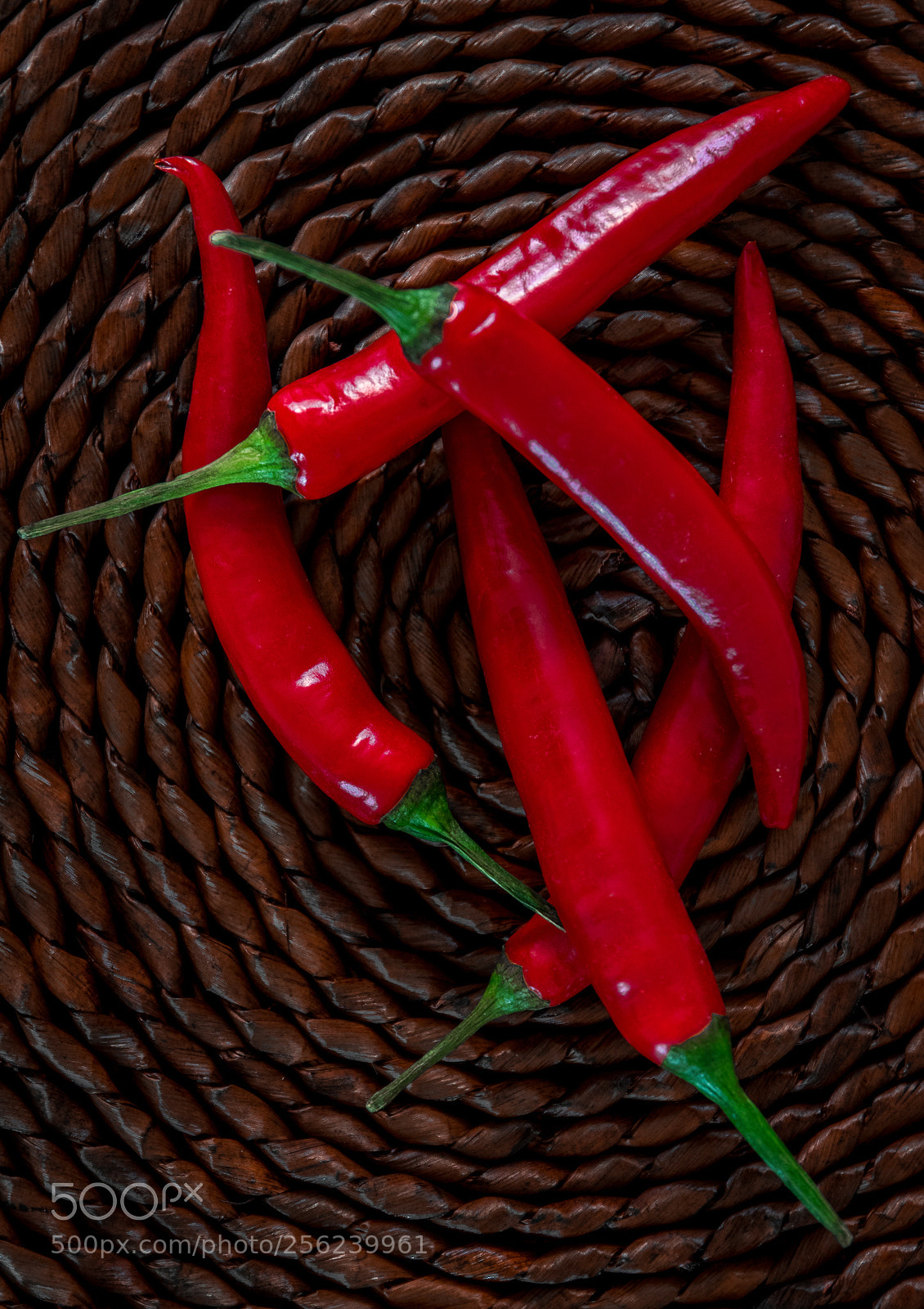 Canon EOS 80D sample photo. Red hot chili peppers photography
