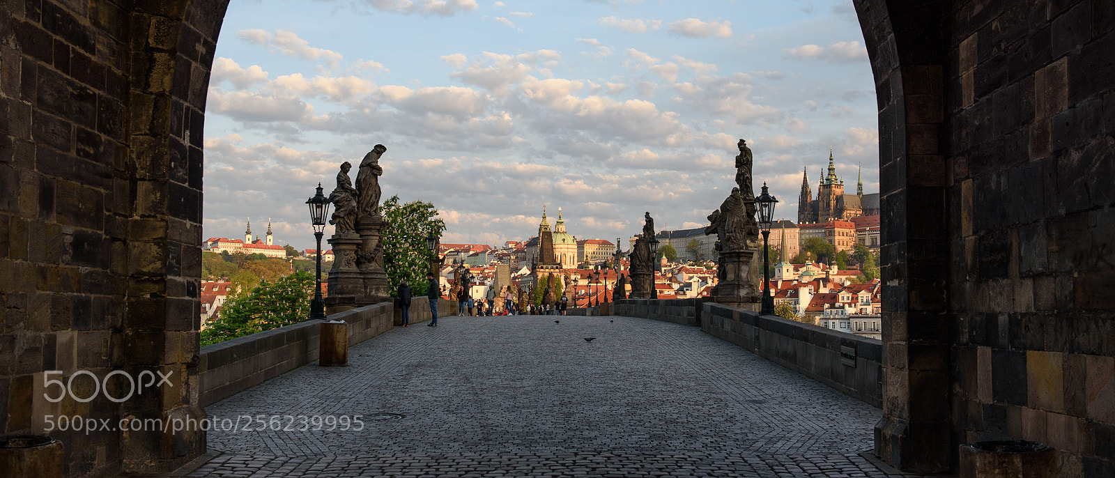 Nikon D750 sample photo. Guten morgen prag, prag photography