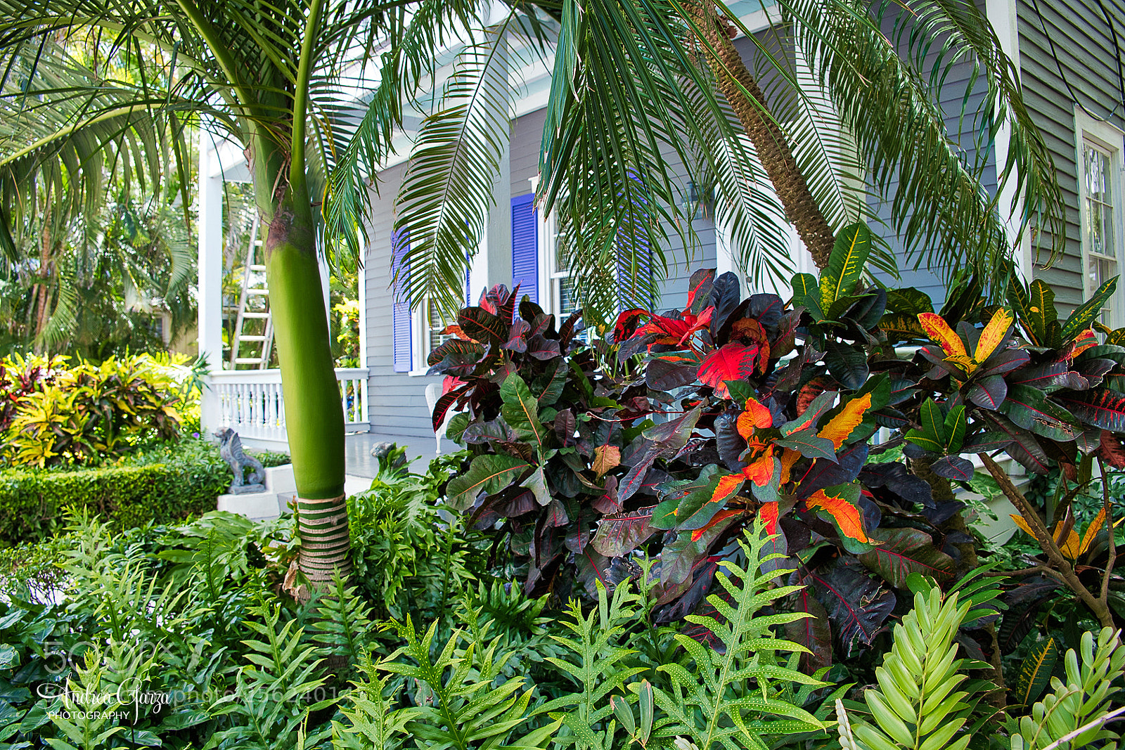 Fujifilm X-T2 sample photo. Key west foliage & porch photography