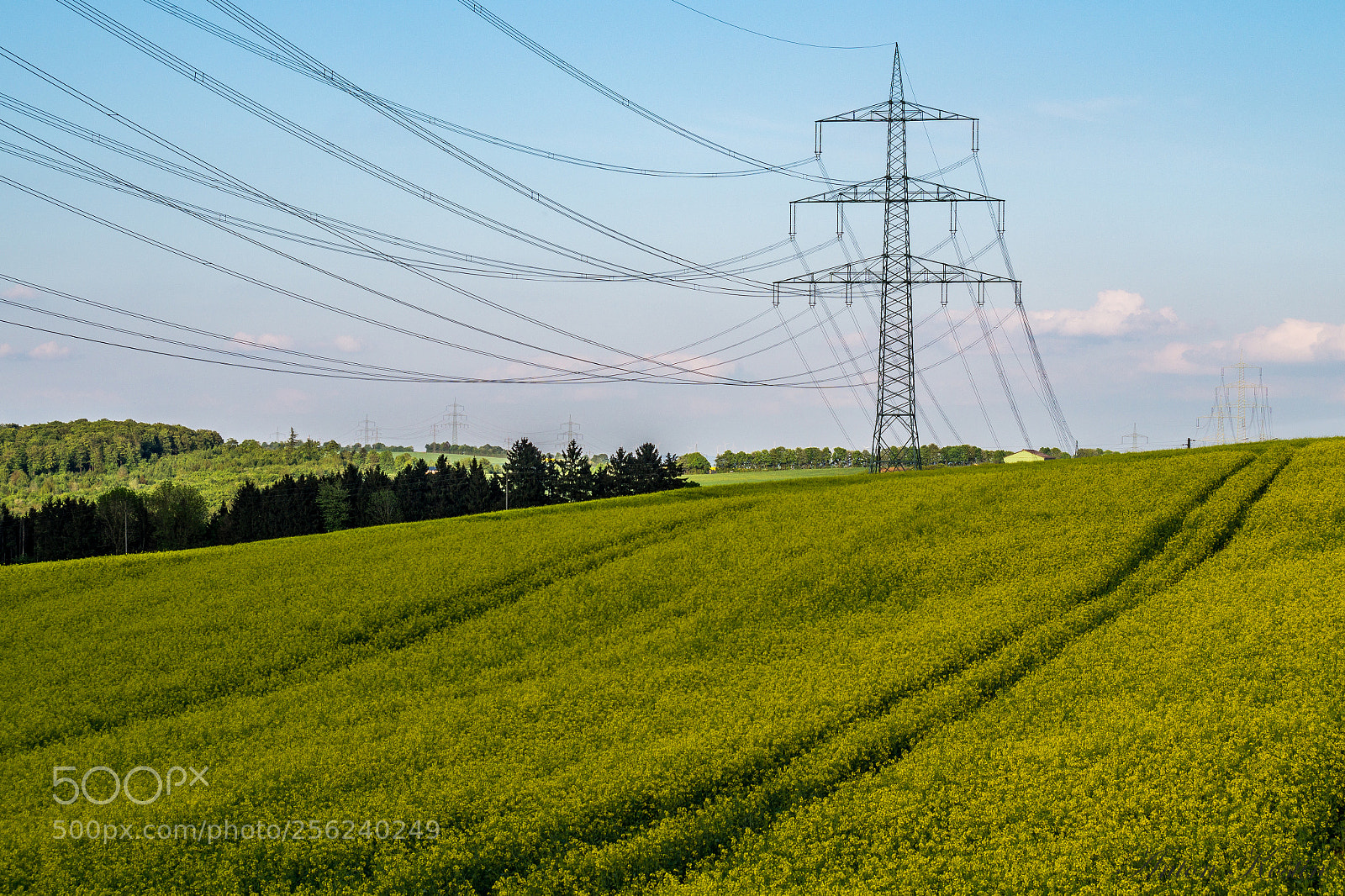 Sony SLT-A58 sample photo. Green fields photography